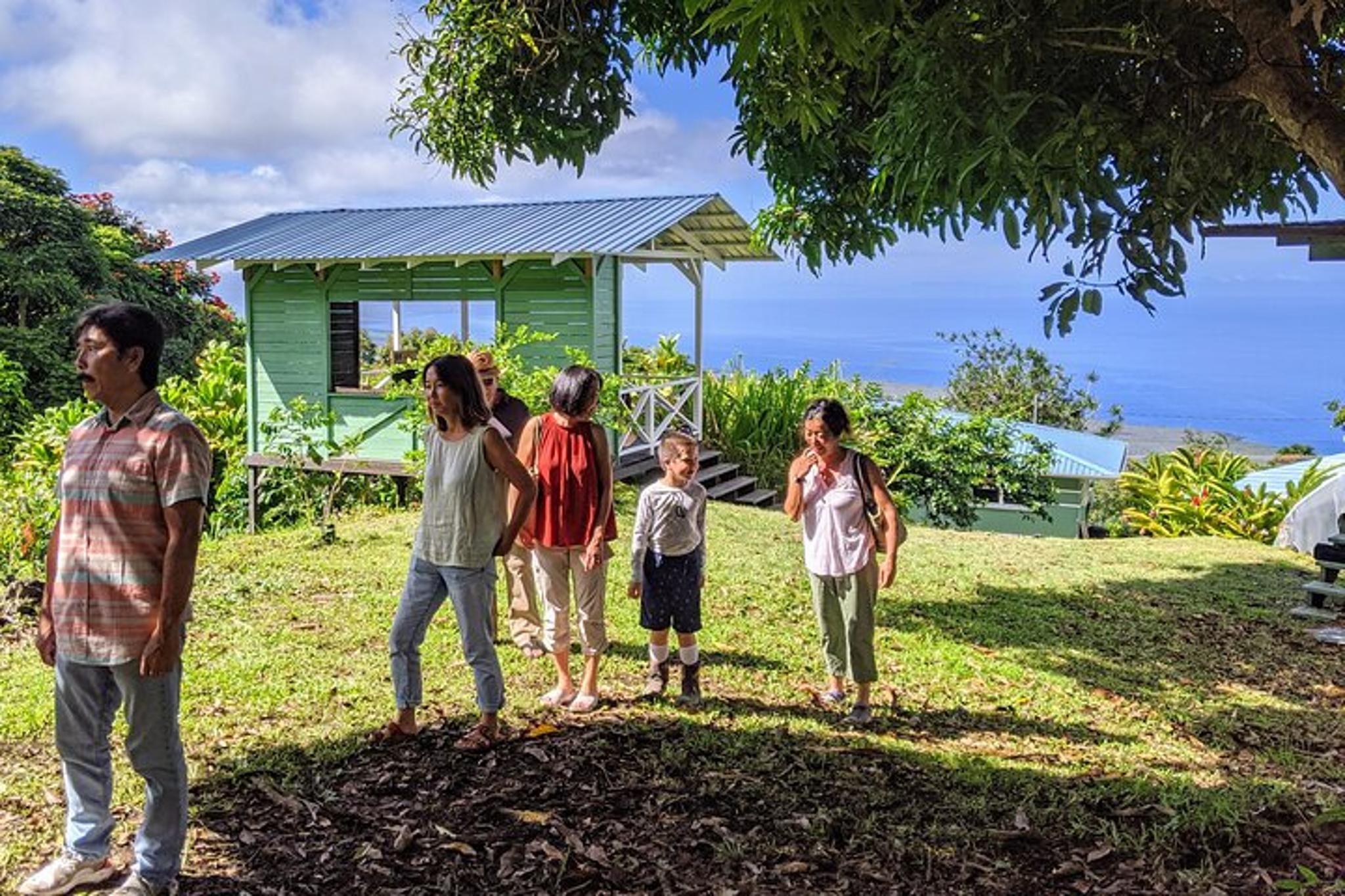 Hawaii Hala Tree Coffee Farm Tour 1 hr - Image 5