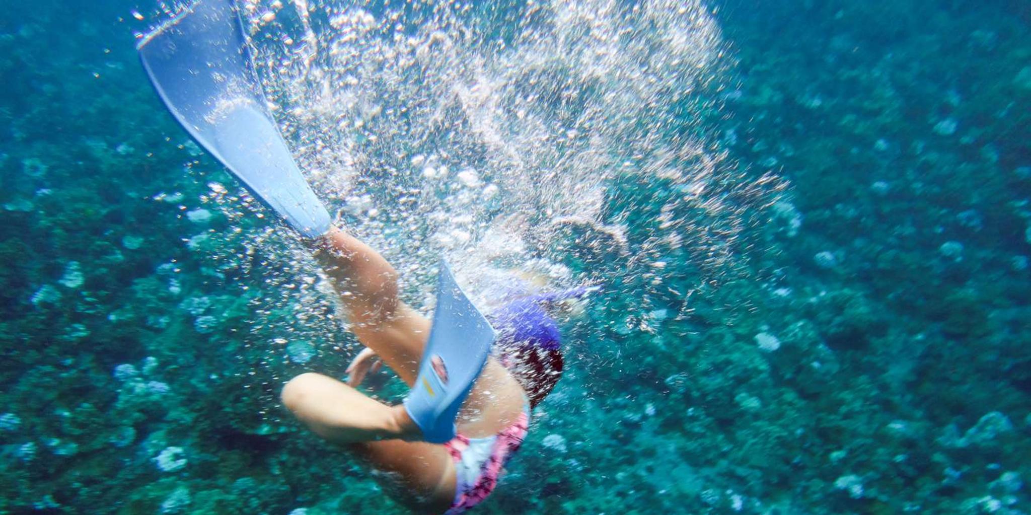 Maui Snorkeling Adventure at Molokini and Turtle Sites - Image 4