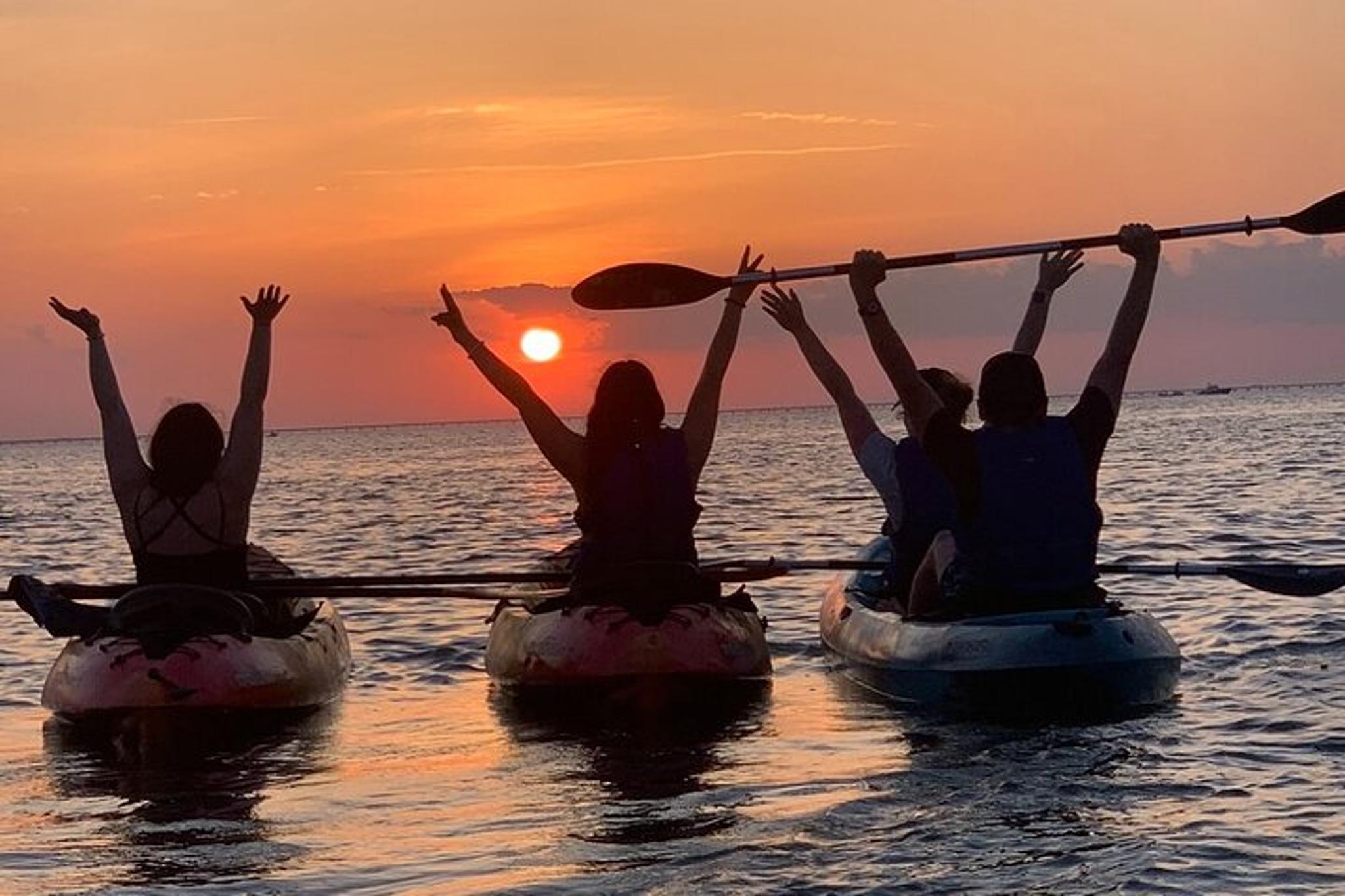 Anna Maria Island Kayaking with Dolphins at Sunset 2 hr - Image 3