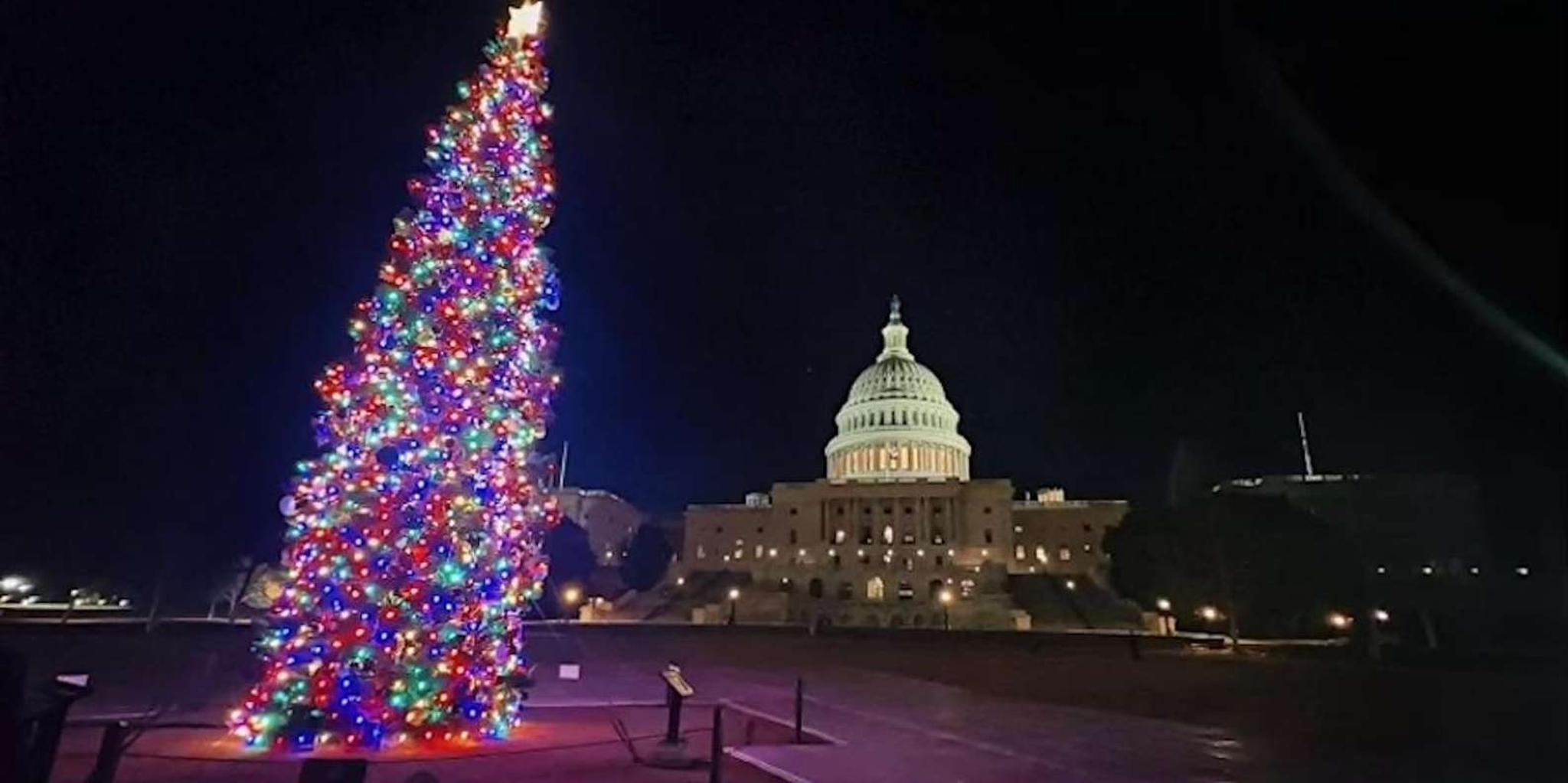 Washington DC National Mall Night Tour