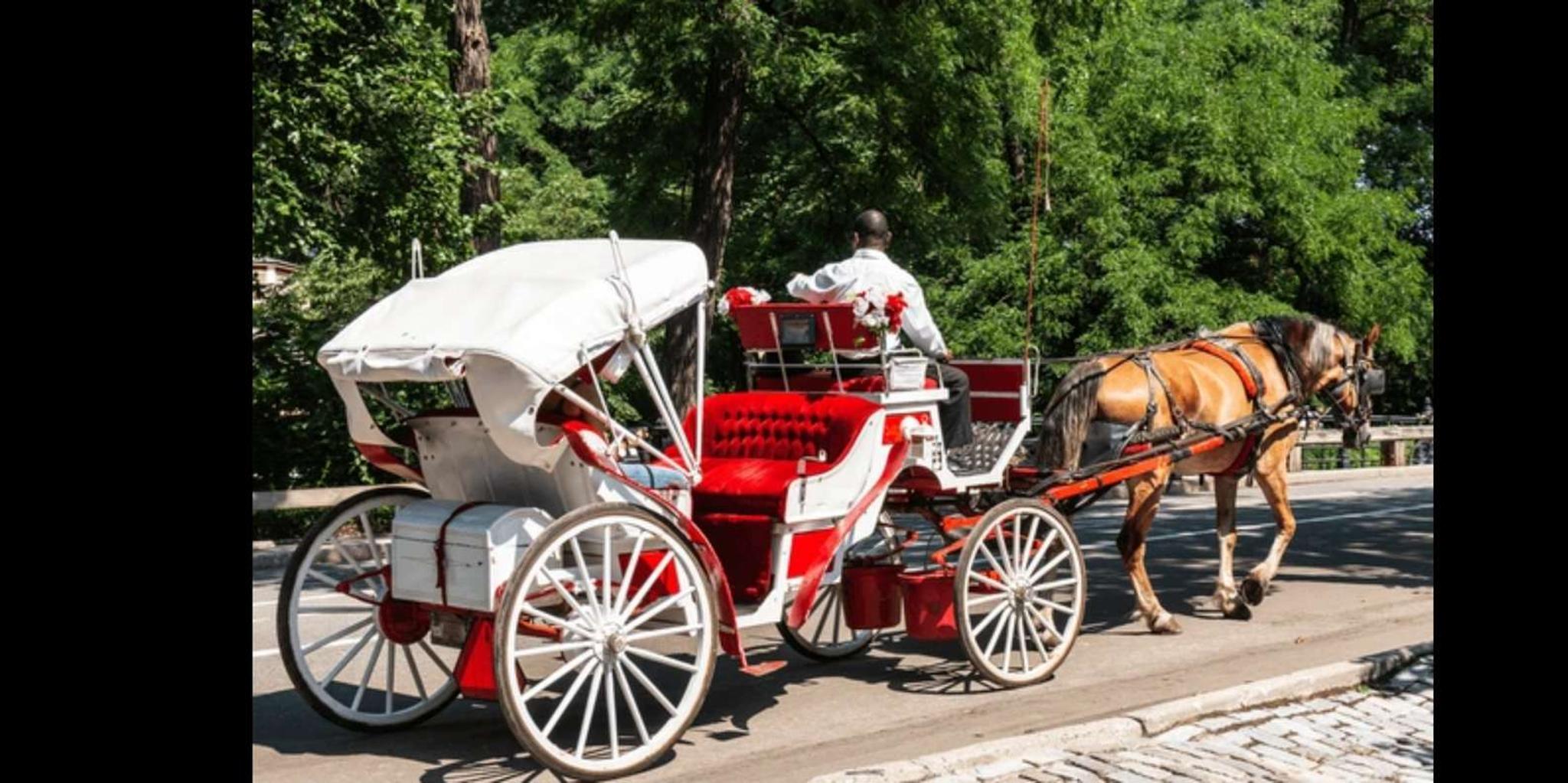 New York Holiday Lights Horse Carriage Ride - Image 5