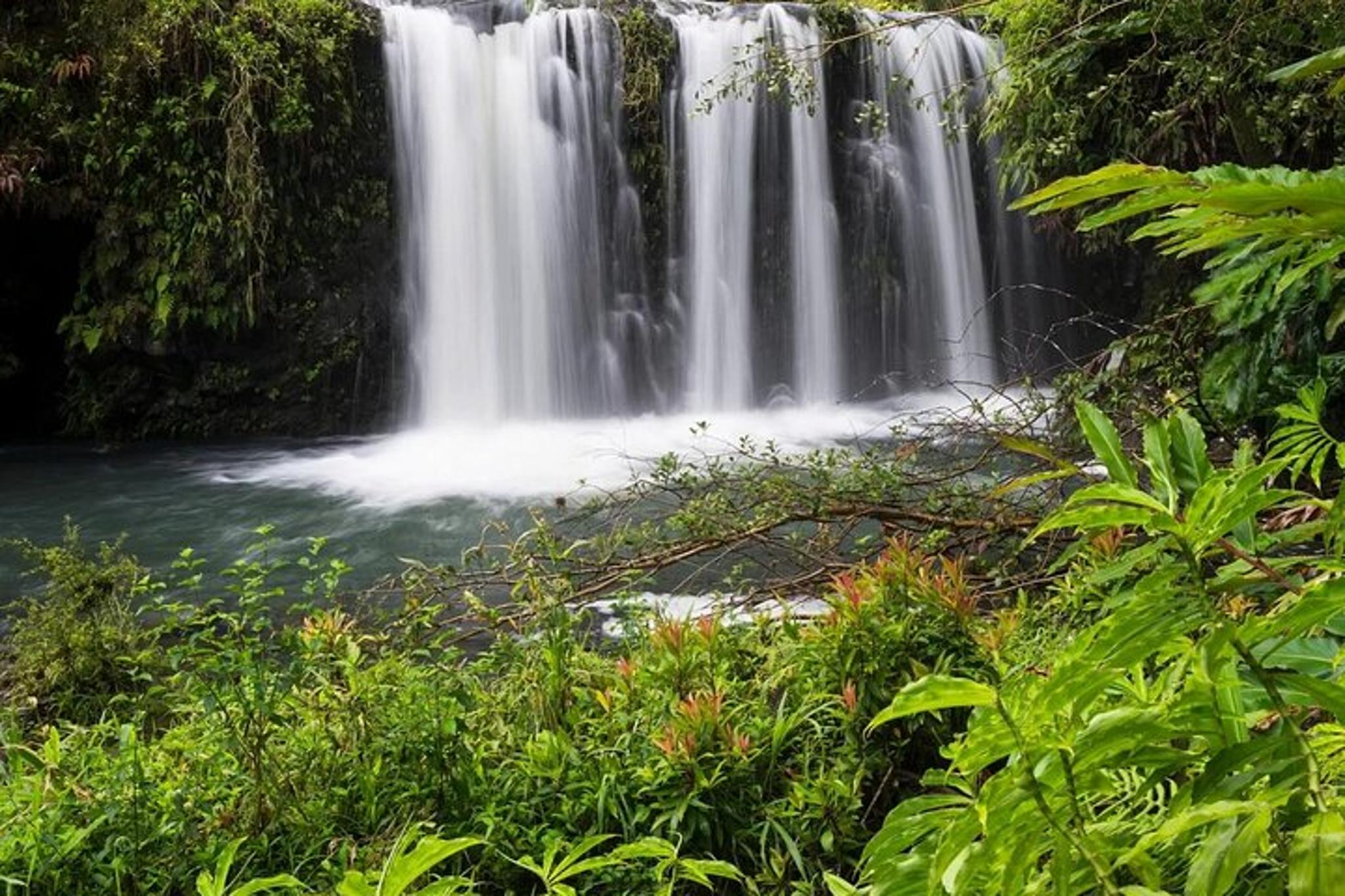 Maui Road to Hana Rainforest & Waterfall Tour - Image 2