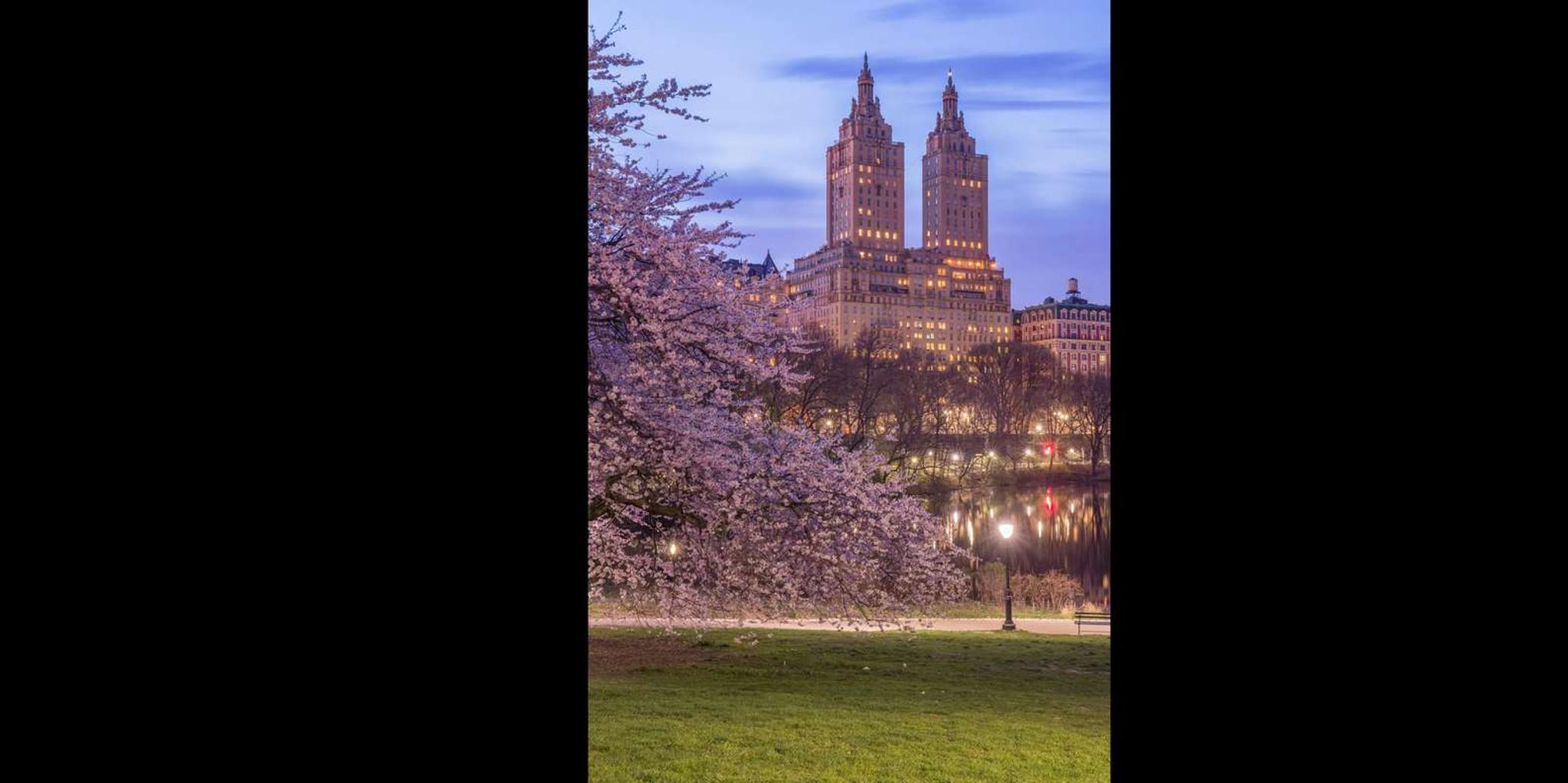 New York Central Park Rickshaw and Boat Tour - Image 3