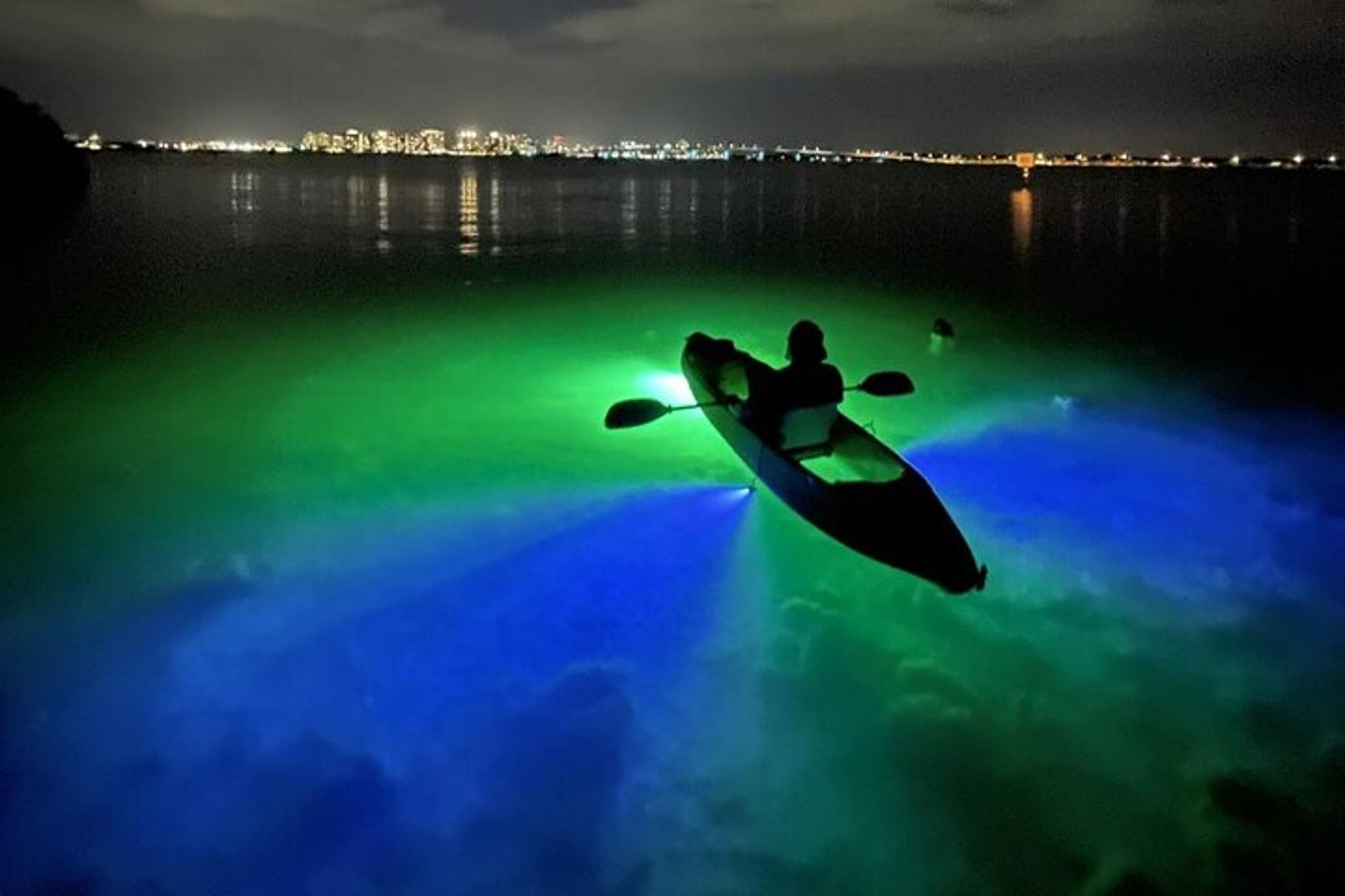 Sarasota Glass Bottom Kayak LED Night Tour - Image 3