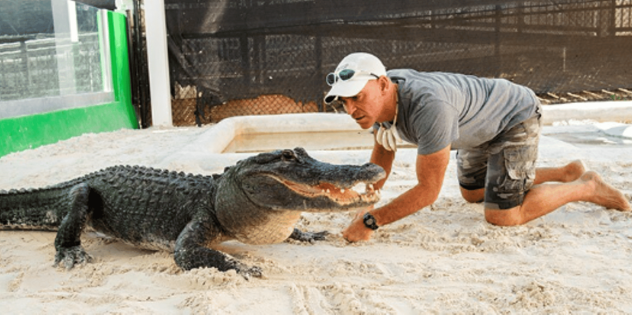 Miami Everglades Airboat Tour - Image 5