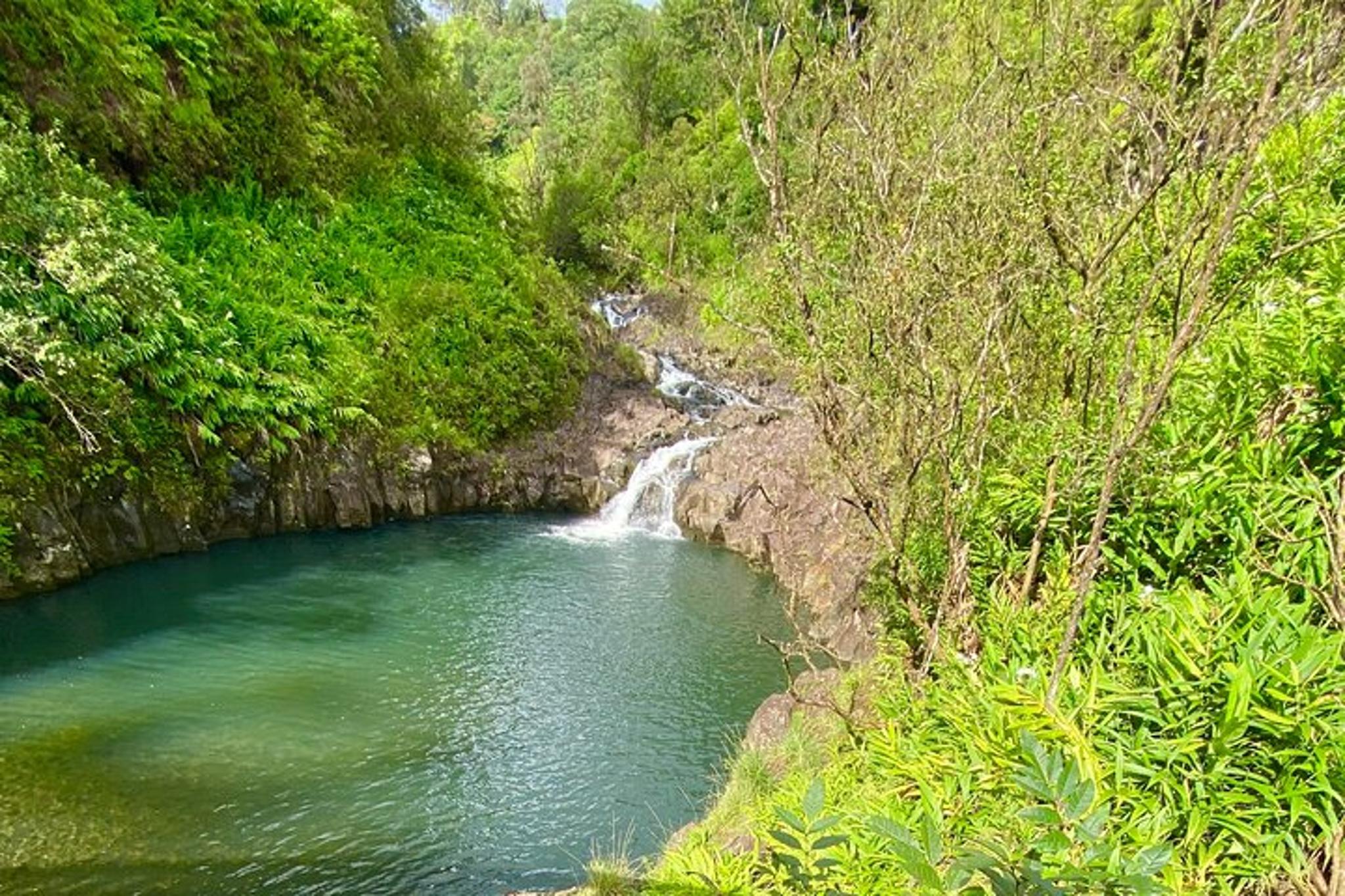 Maui Private Road Tour to Hana - Image 4