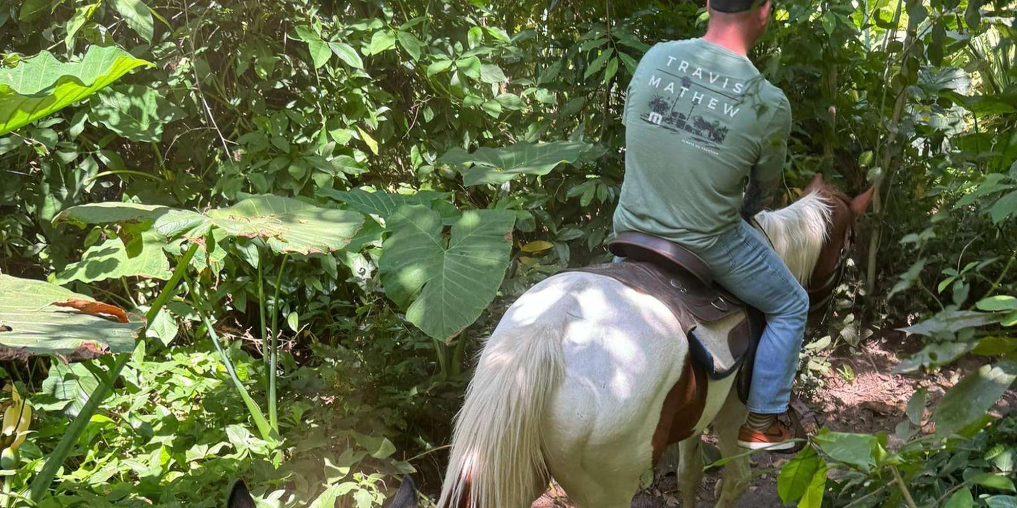 Miami Horseback Riding in South Beach 1 hr - Image 3