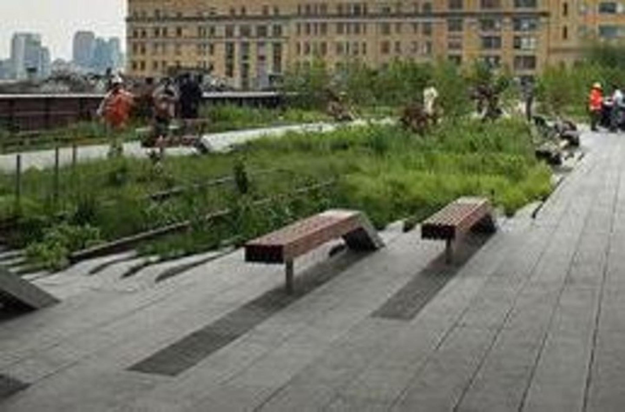 New York High Line Park Walking Tour - Image 2