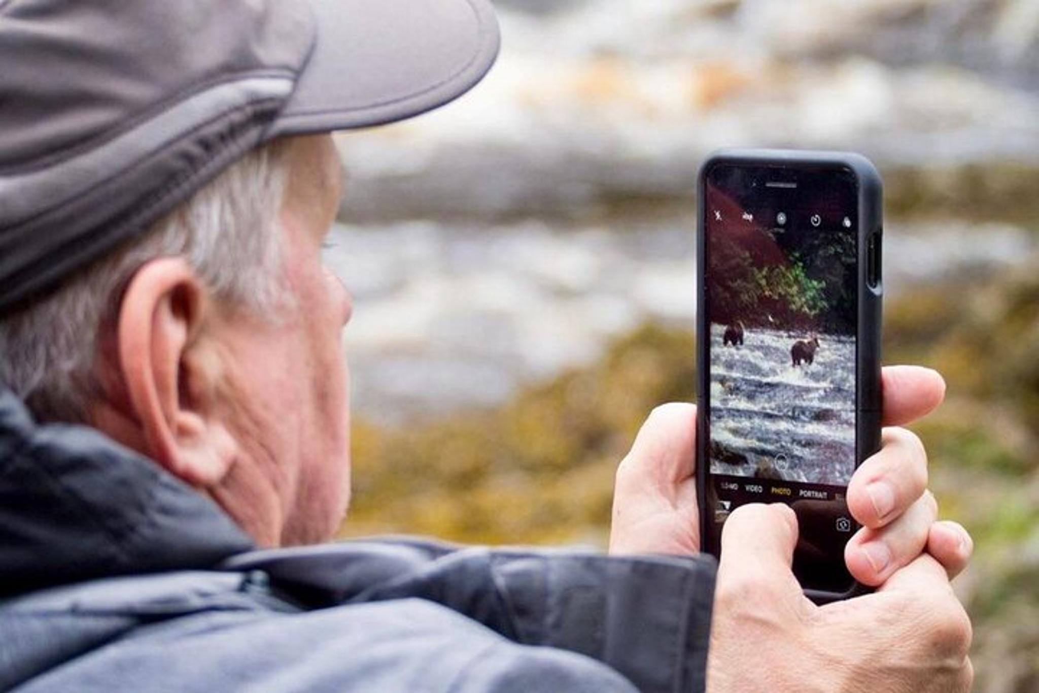 Juneau Bear Viewing Tour at Waterfall Creek - Image 4