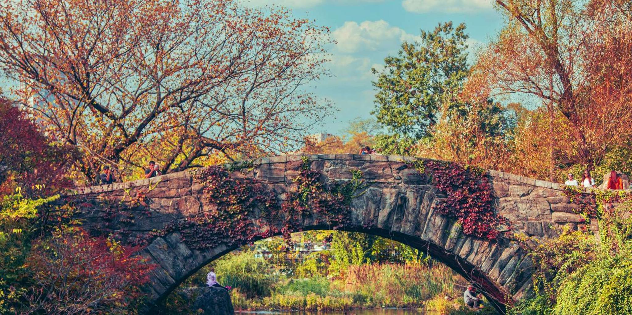 New York Central Park Walking Tour - Image 4