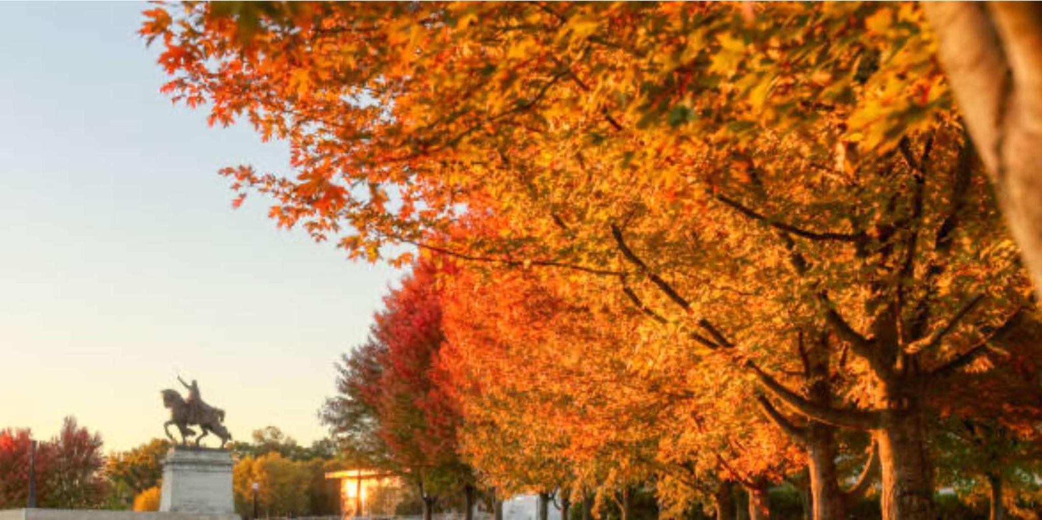 St. Louis Private Walking Tour - Image 5