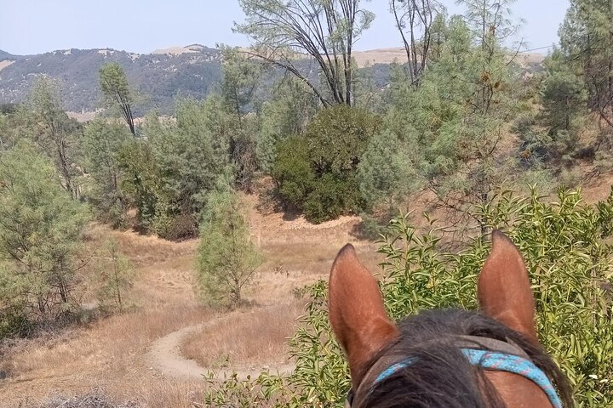 Sonoma Horseback Riding Tour - Image 5