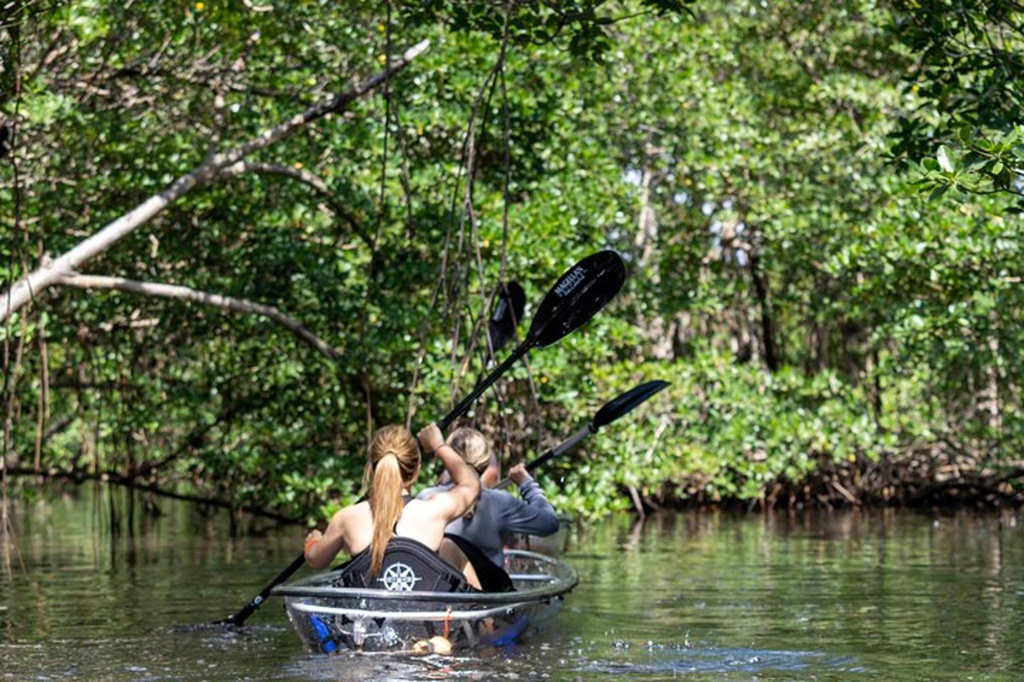 North Miami Beach Clear Kayak Tour in Mangrove Tunnels - Image 2