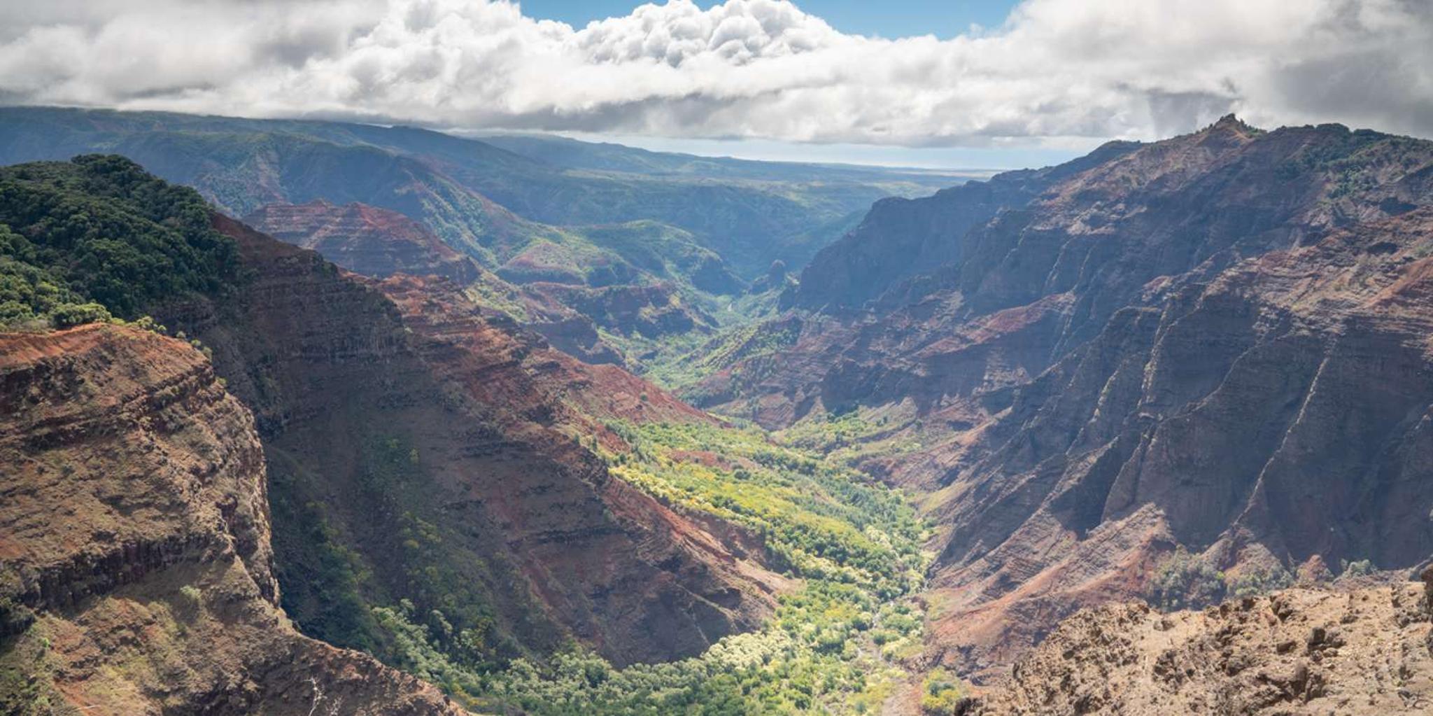 Kauai Waimea Canyon and Koke'e State Park Tour