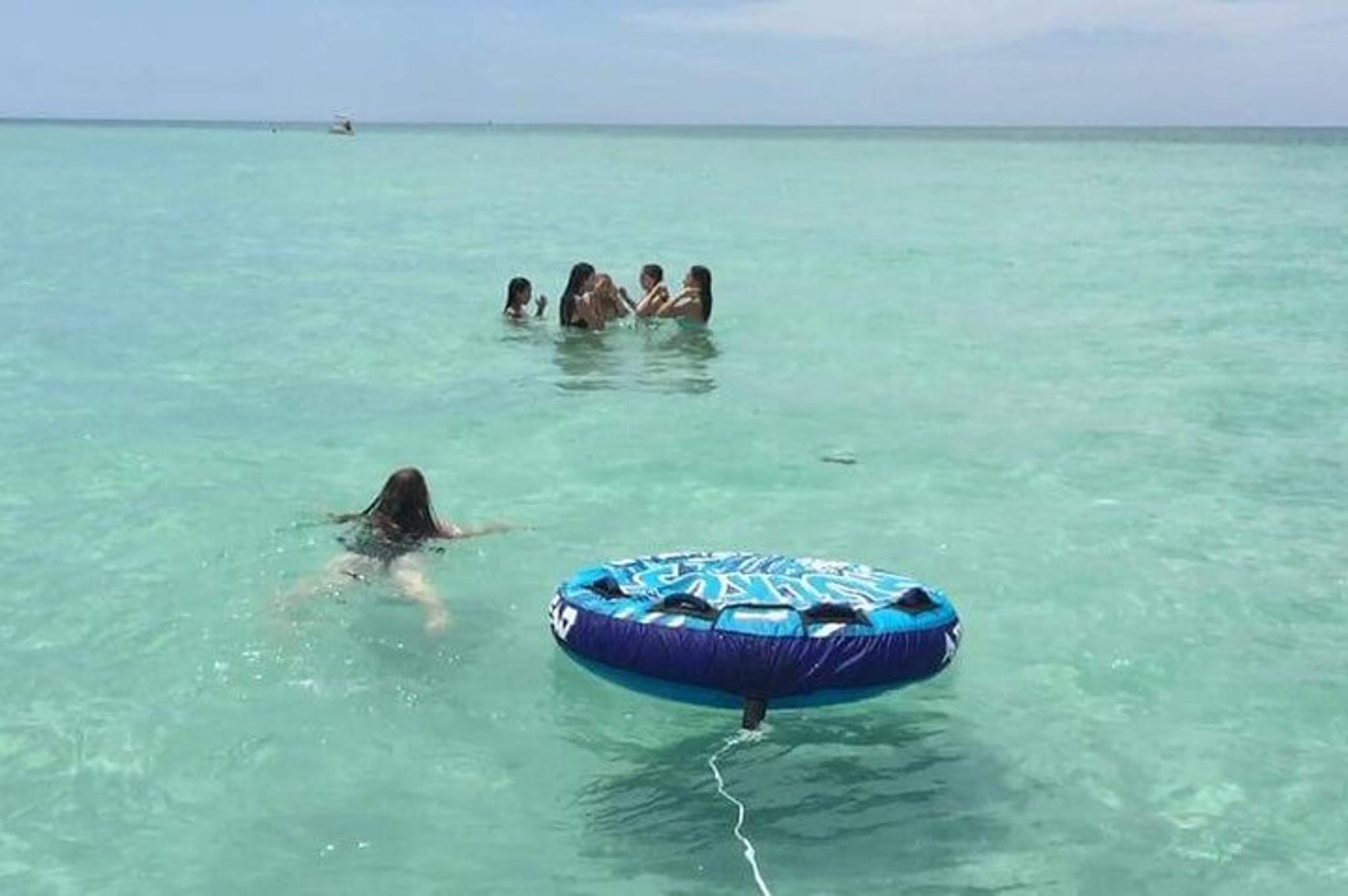 Anna Maria Island Sandbar Tour 2 hr - Image 4