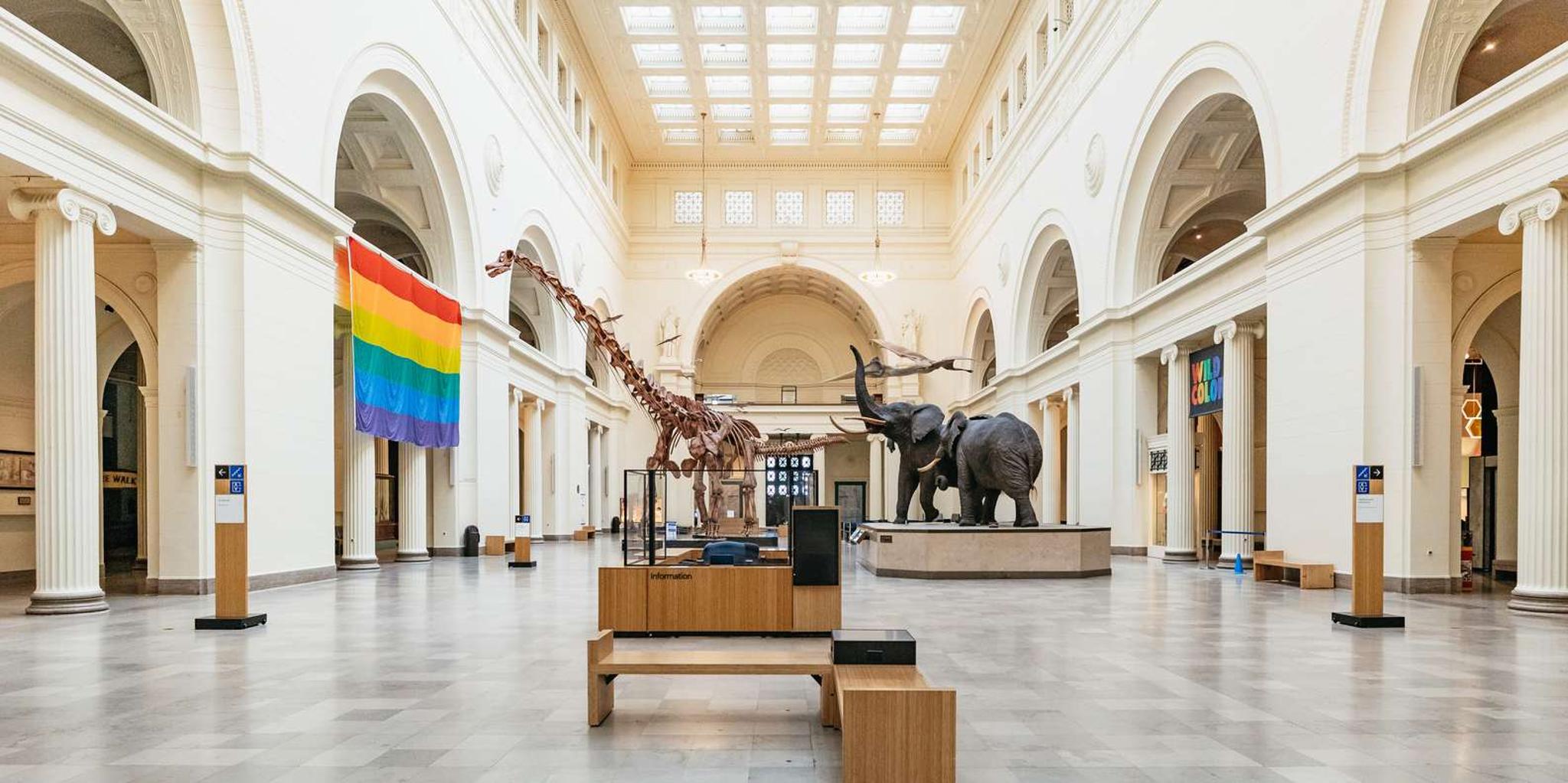 Chicago Field Museum of Natural History Tour - Image 5