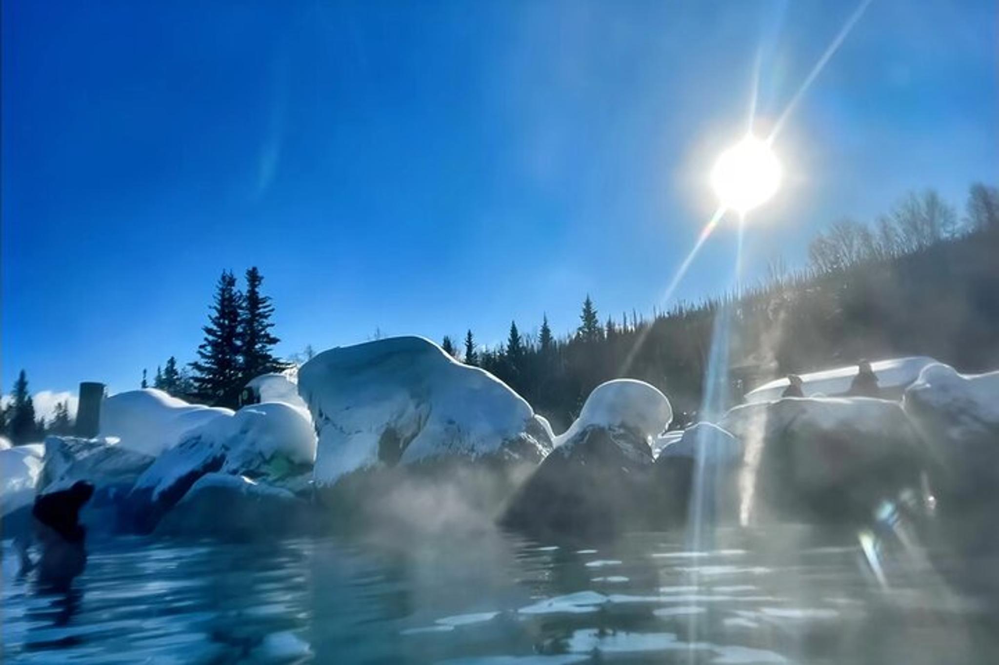 Fairbanks Chena Hot Springs Day Tour - Image 3
