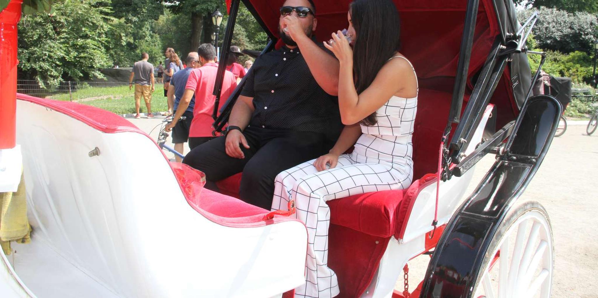 New York City Horse Carriage Ride in Central Park - Image 4