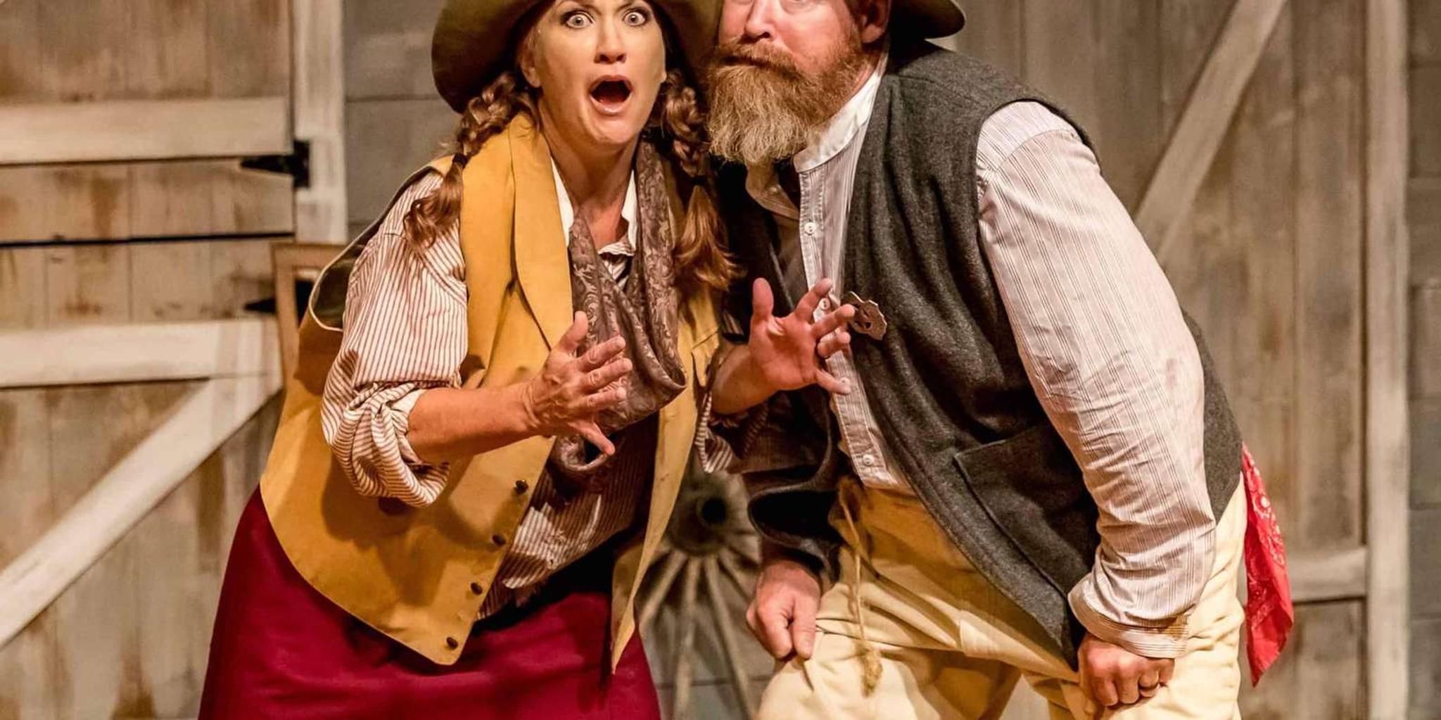 Branson WhoDunnit Hoedown Murder Mystery Dinner Show - Image 6