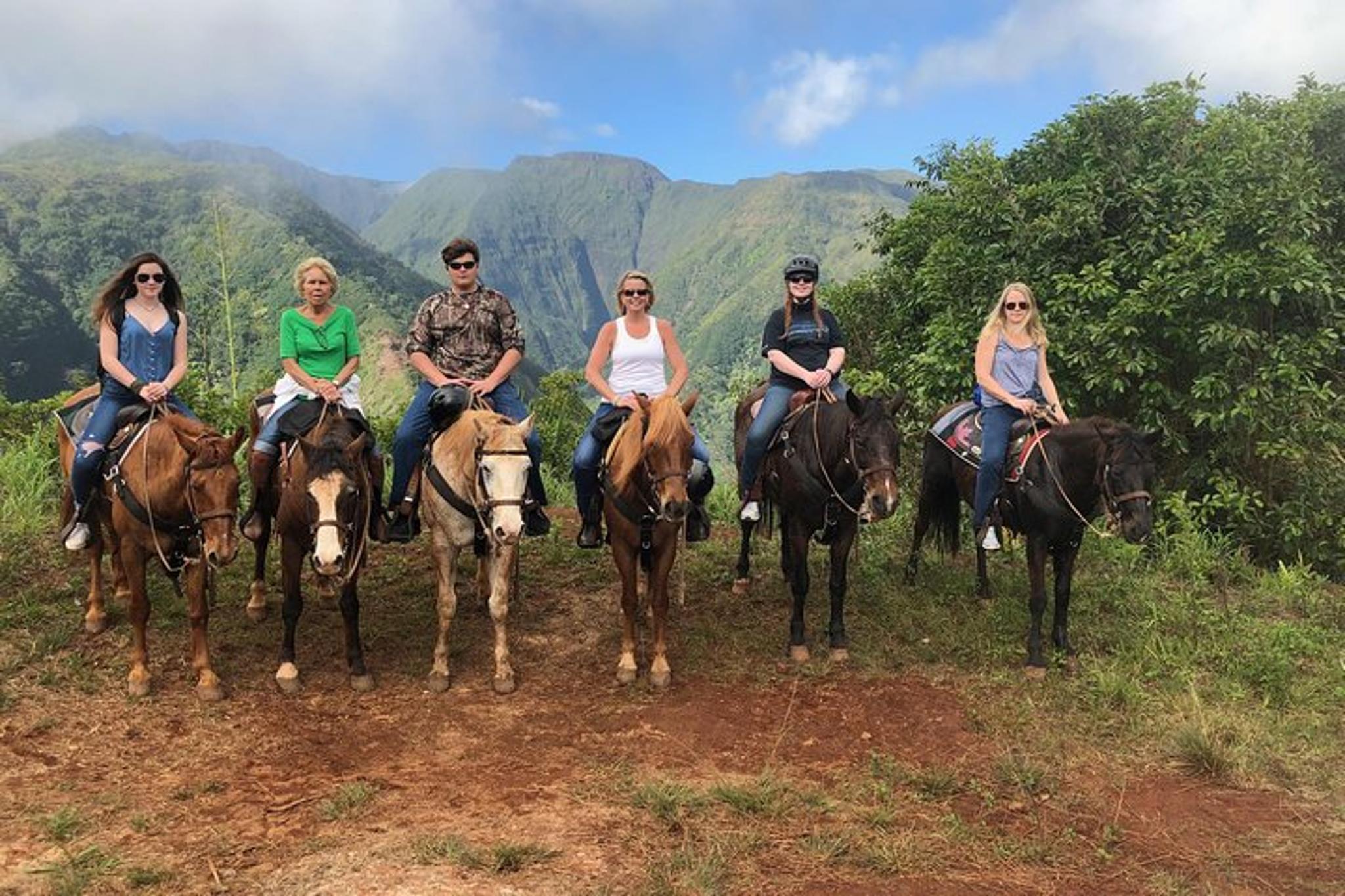 Maui Horseback Waterfall and Ocean Tour - Image 6
