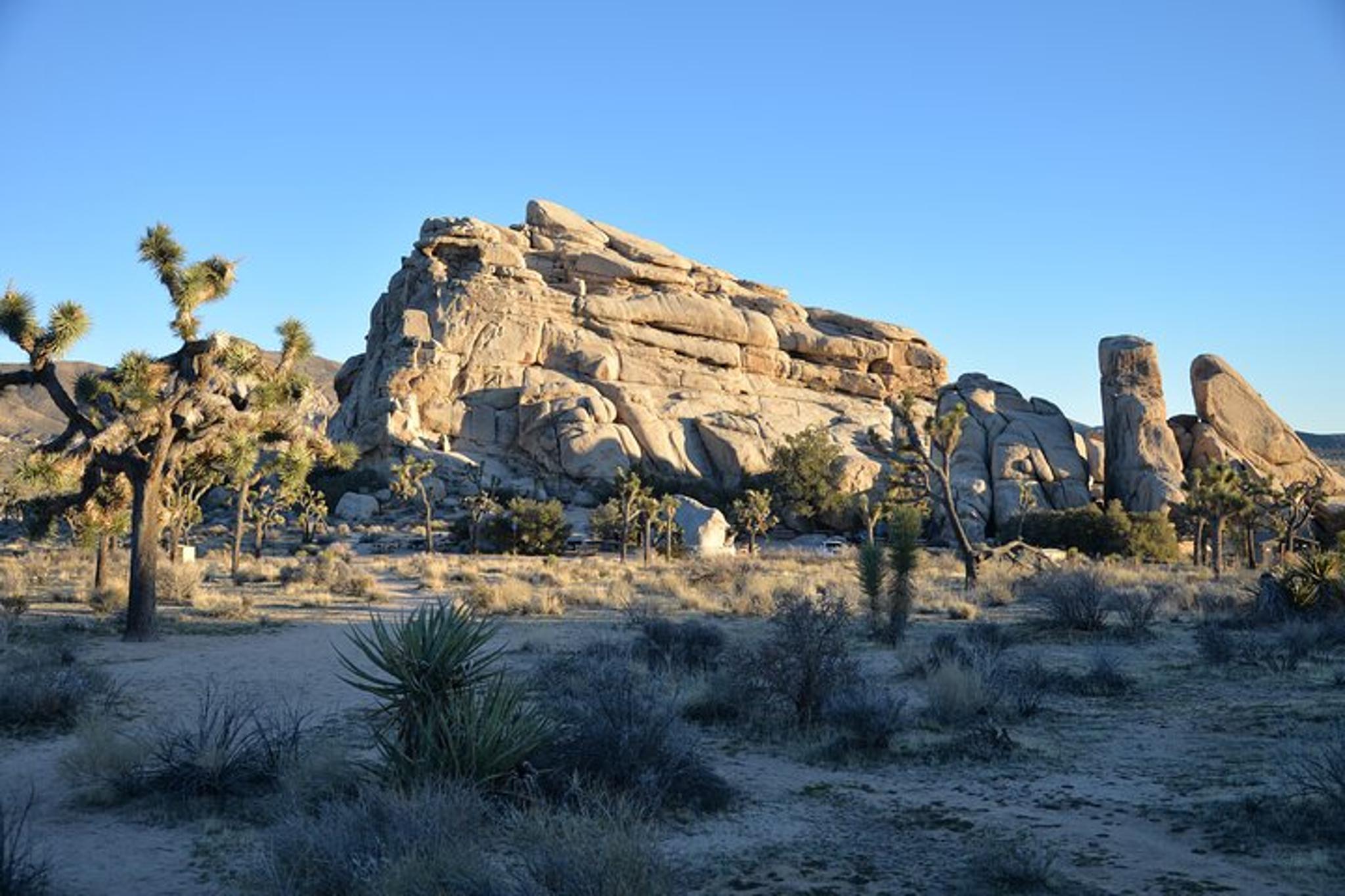 Los Angeles Joshua Tree National Park Private Tour 2-Day