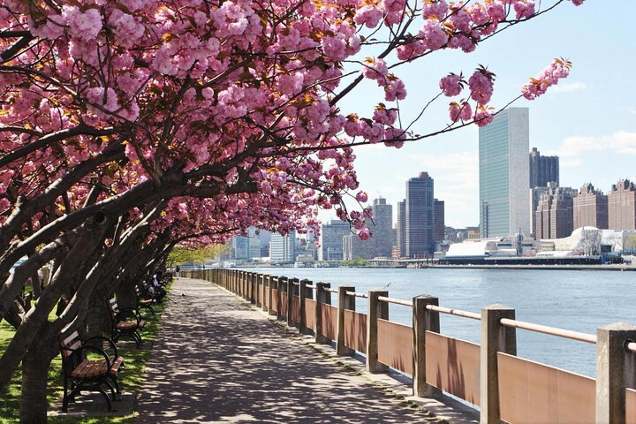 New York City Roosevelt Island Tour - Image 5