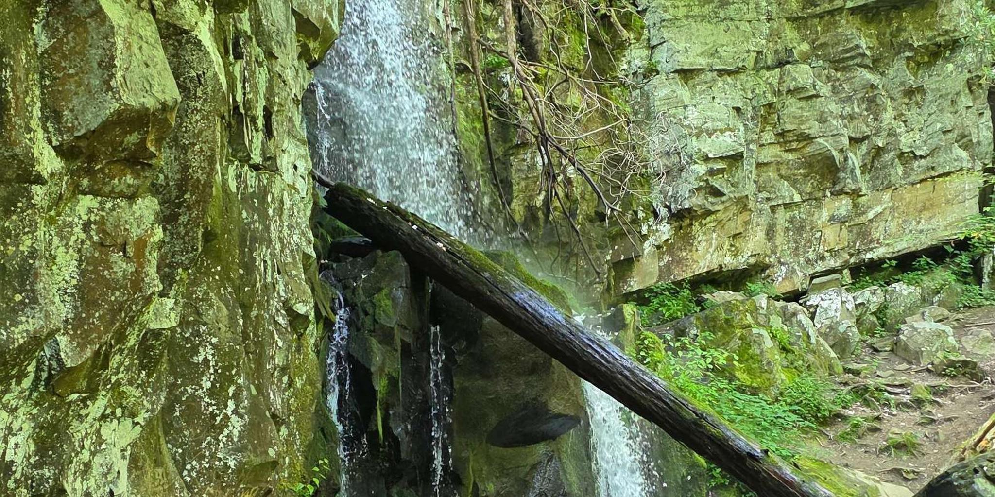 Gatlinburg Smoky Mountains Waterfall Hike 3.5 hr - Image 2