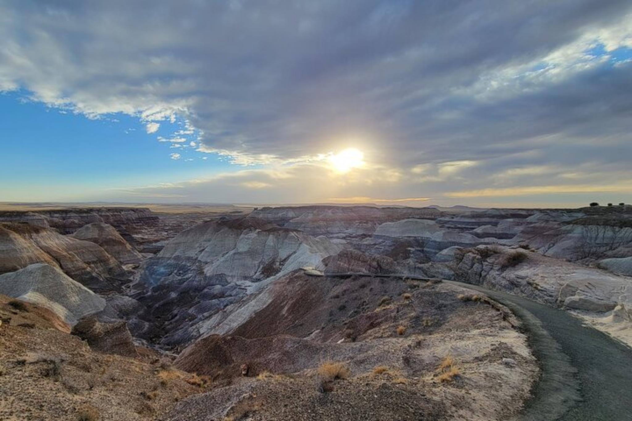 Sedona Petrified Forest and Painted Desert Tour - Image 6
