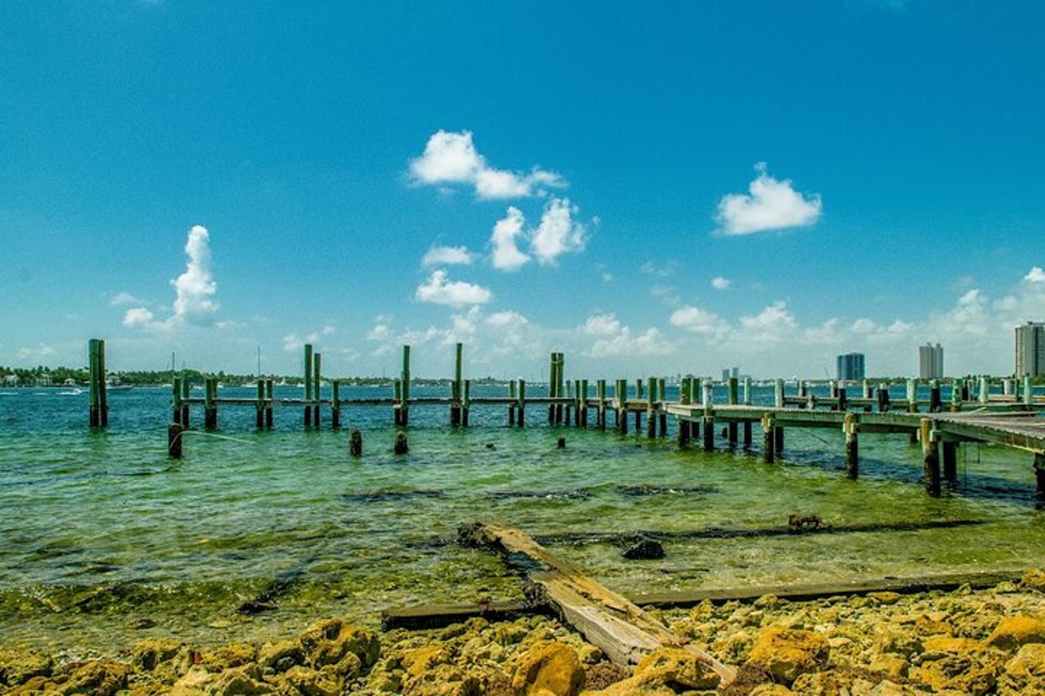 Riviera Beach Peanut Island Adventure - Image 3