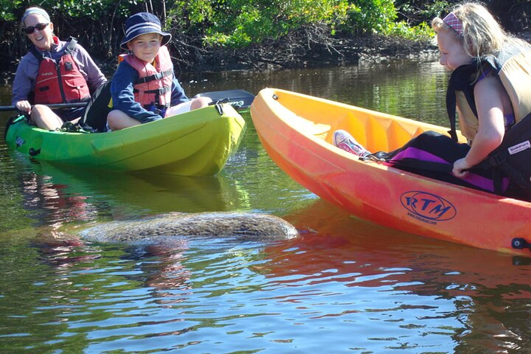 Fort Myers Beach Kayak or SUP Rental at Pelican Bay 3 hr