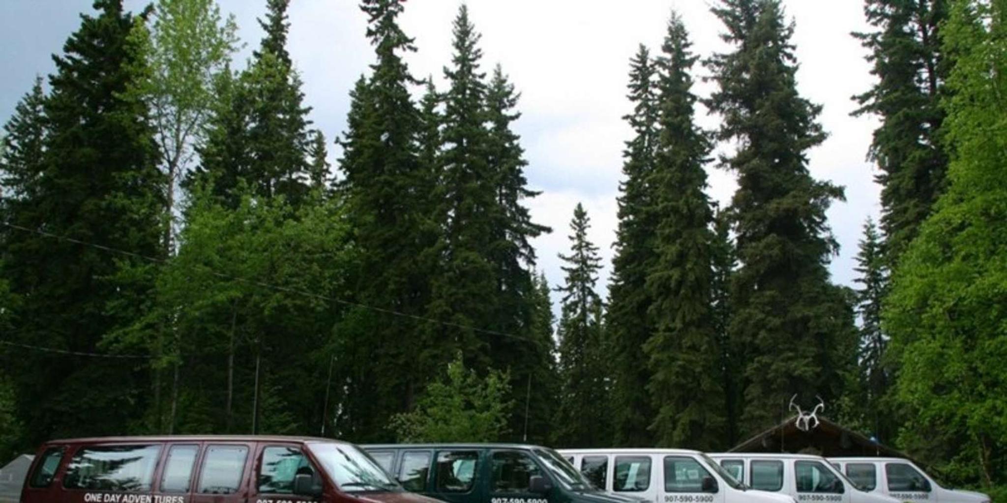 Fairbanks Denali Shuttle Service - Image 2