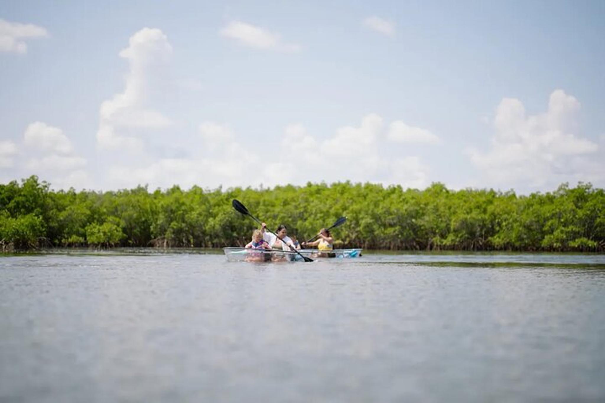 New Smyrna Beach Clear Kayak Tour - Image 6