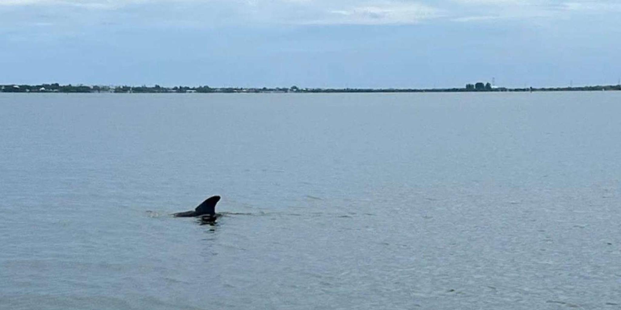 Cocoa Beach Pontoon Sunset Cruise - Image 6
