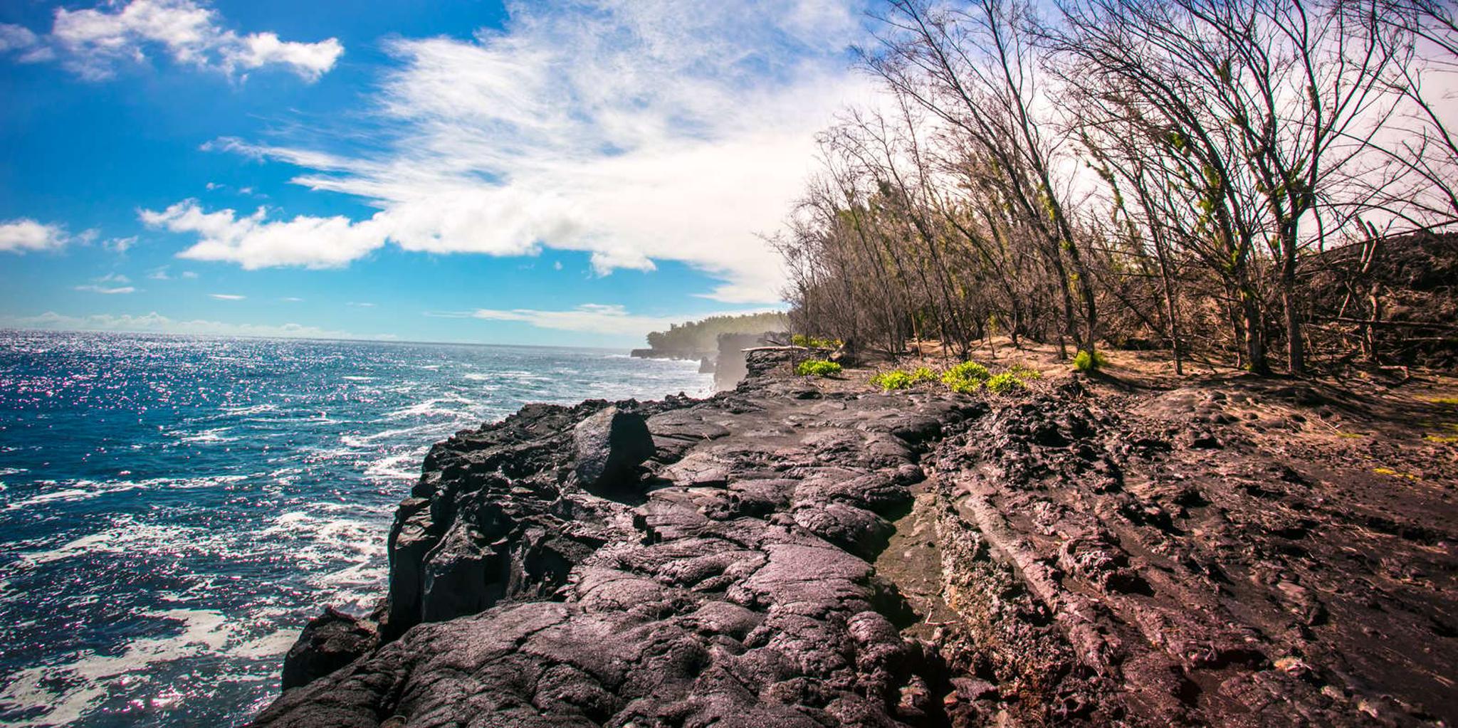 Hilo Kilauea Lava Flow Tour with Lunch and Dinner - Image 5
