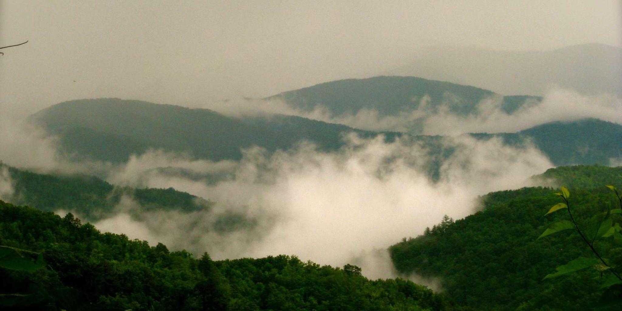 Gatlinburg Smoky Mountain Scenic Tour and Hike - Image 6