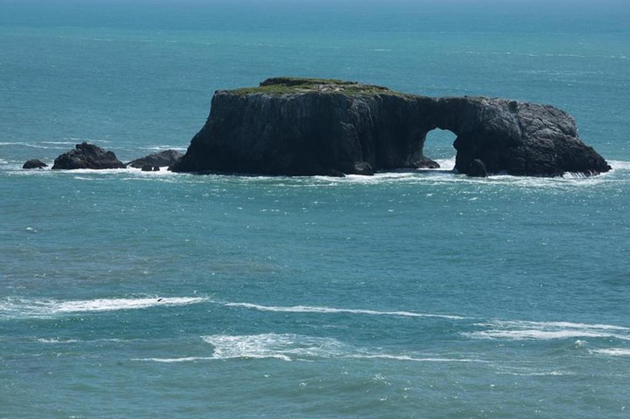 San Francisco Redwoods & California Coast Day Trip - Image 4