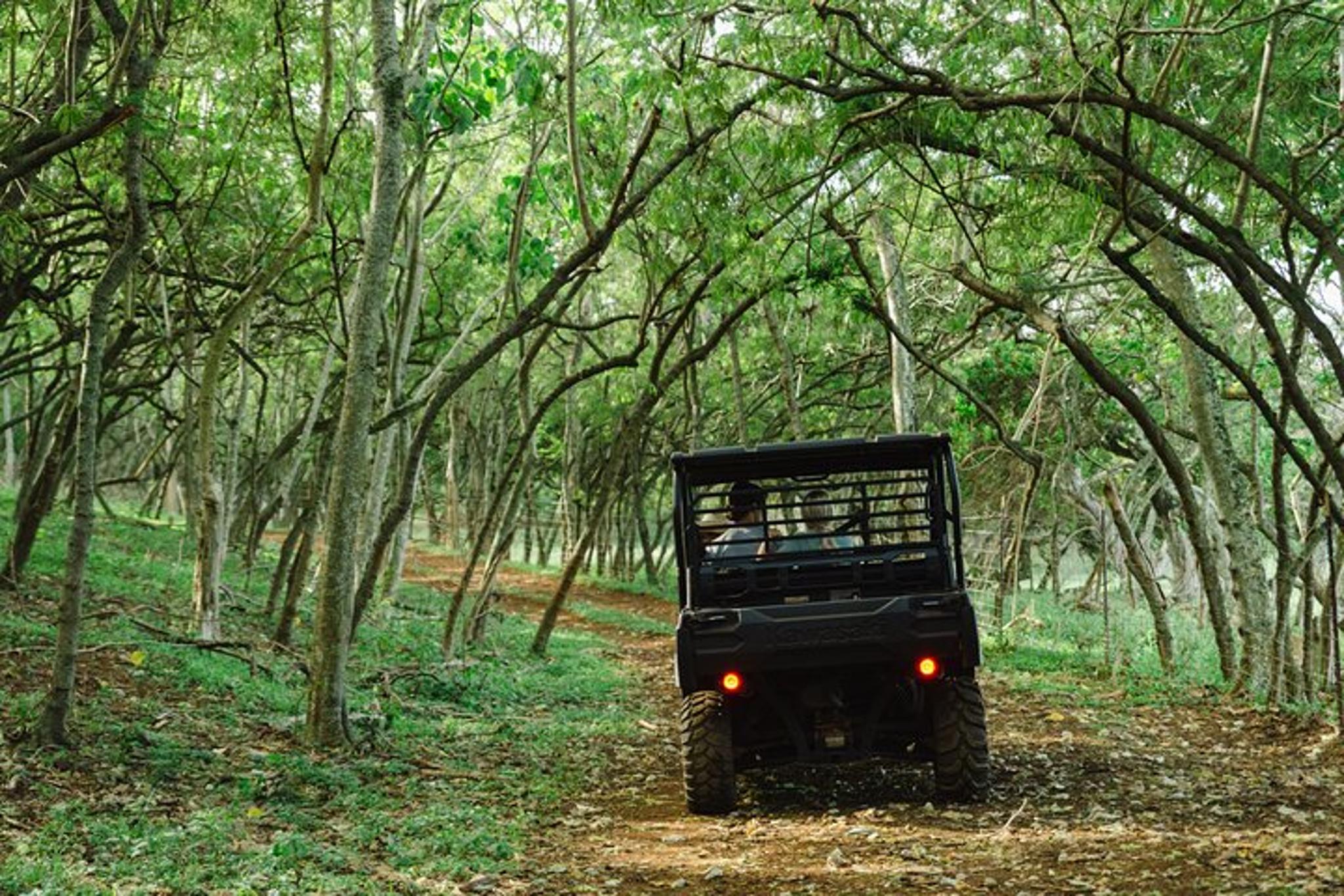 Oahu Off-Road Sunset Dinner Tour - Image 6