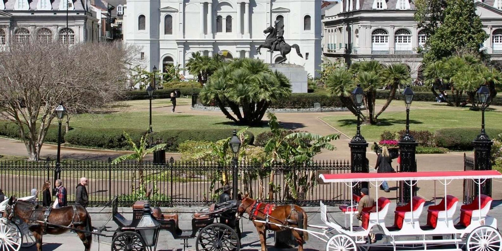 New Orleans Private Guided City Tour - Image 2