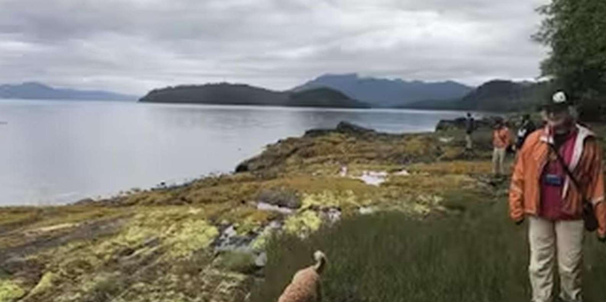 Ketchikan E-Bike and Rainforest Hike Tour - Image 3