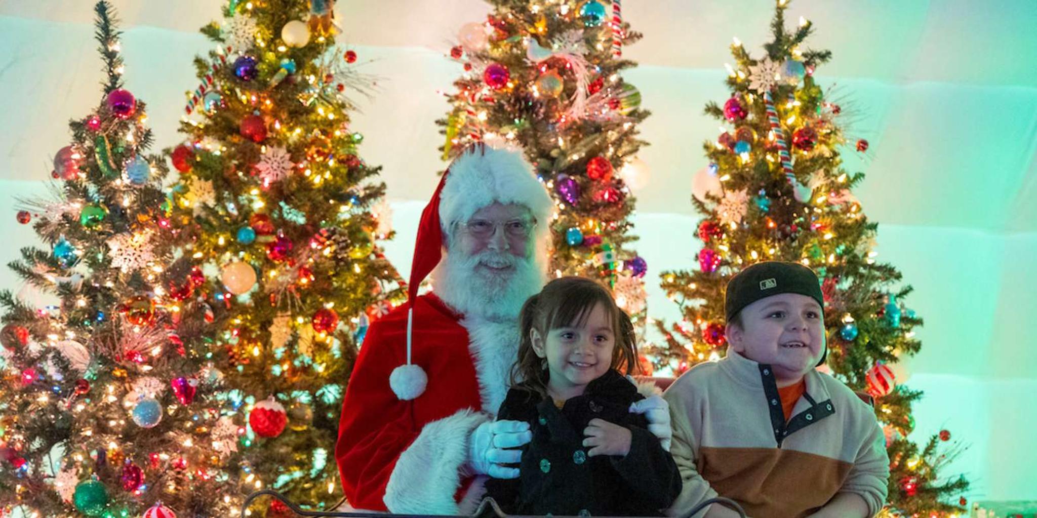 Phoenix ZooLights Entry Ticket - Image 6