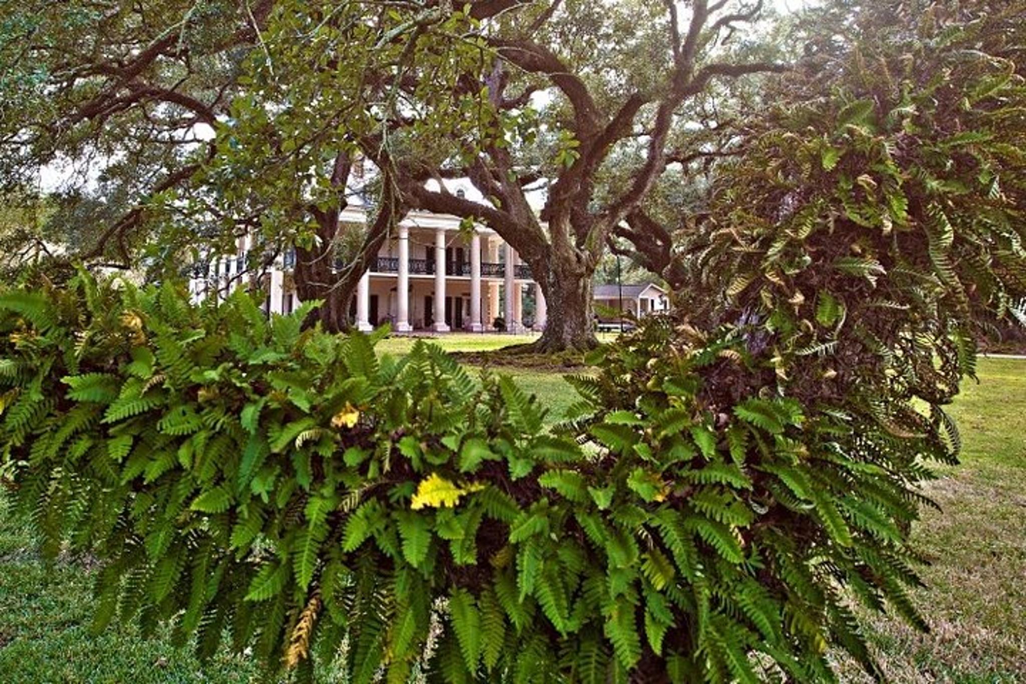 New Orleans Plantation and Swamp Tour - Image 6