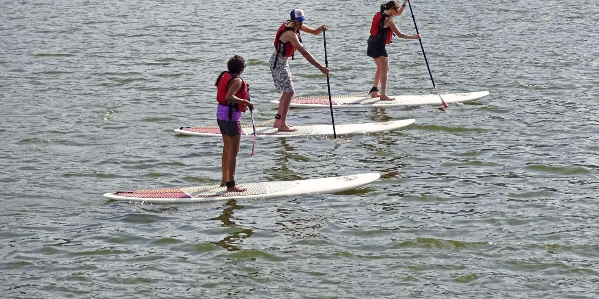 Miami Biscayne Bay Kayak or Paddleboard Rental - Image 2