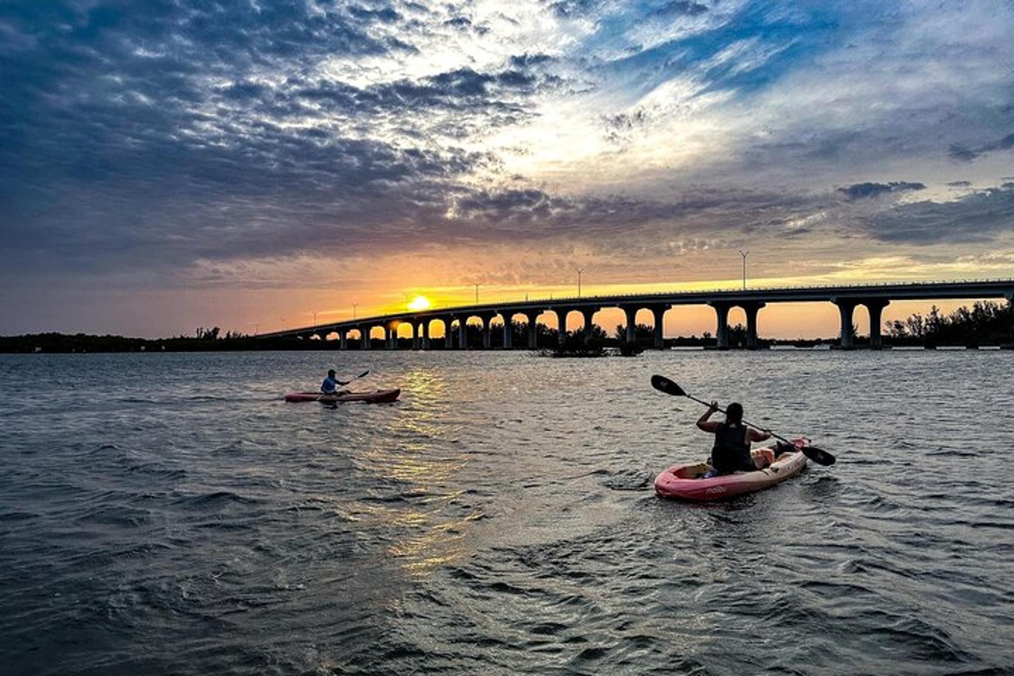 Vero Beach Kayak and Paddle Board Tour - Image 5