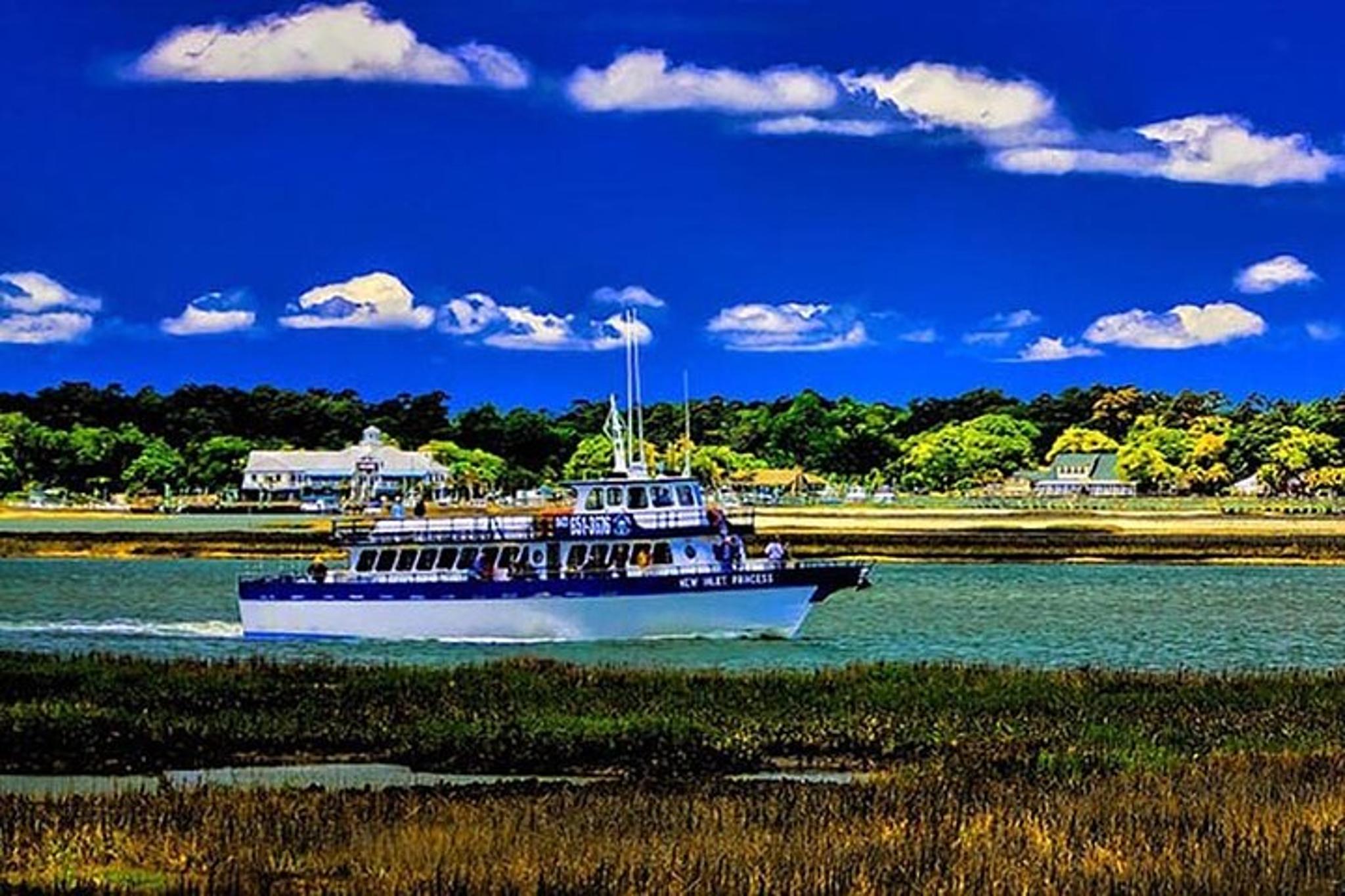 Myrtle Beach Dolphin Cruise Murrells Inlet 75 min - Image 2