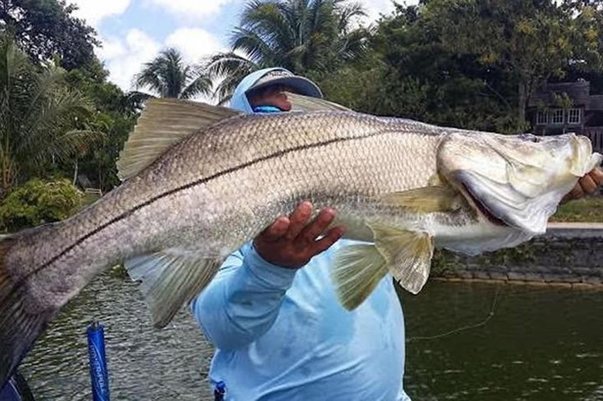 Homosassa Inshore Fishing Charter