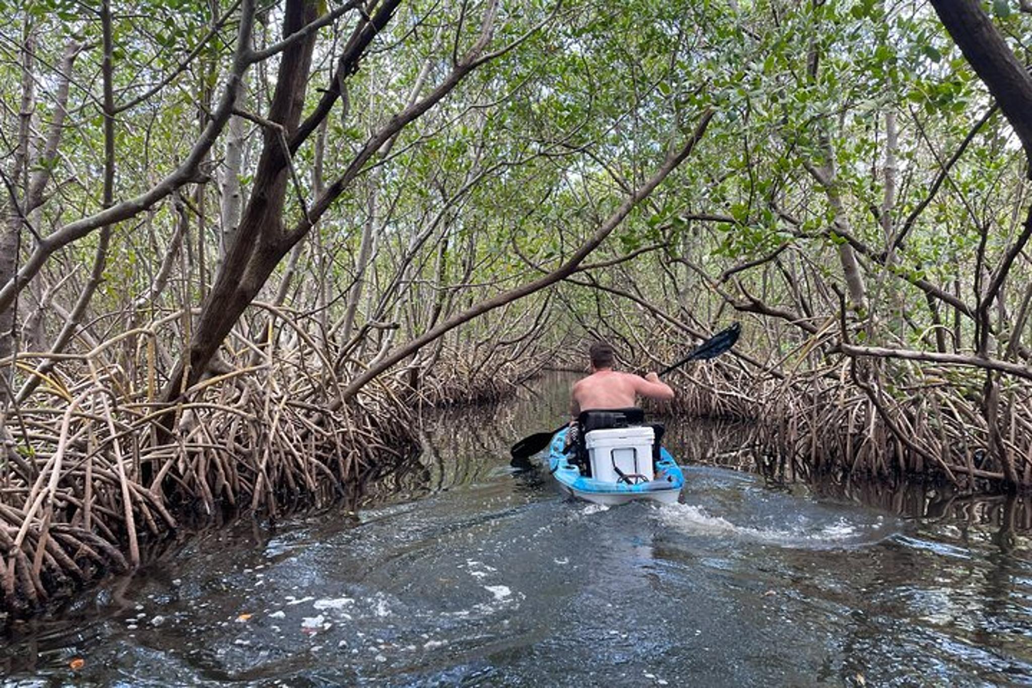 Tierra Verde Kayak Adventure at Shell Key Preserve - Image 4