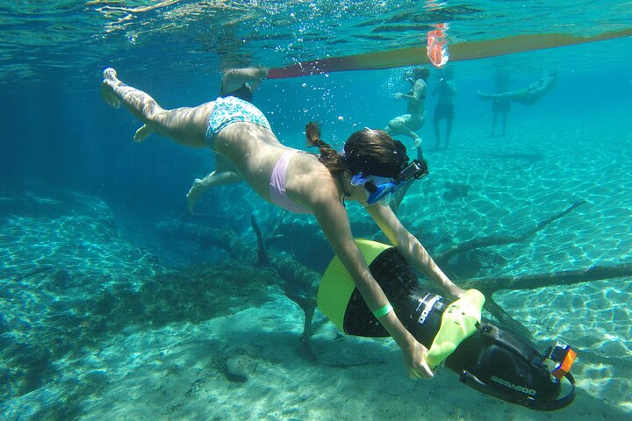 Destin Cypress Springs Eco Adventure - Image 6