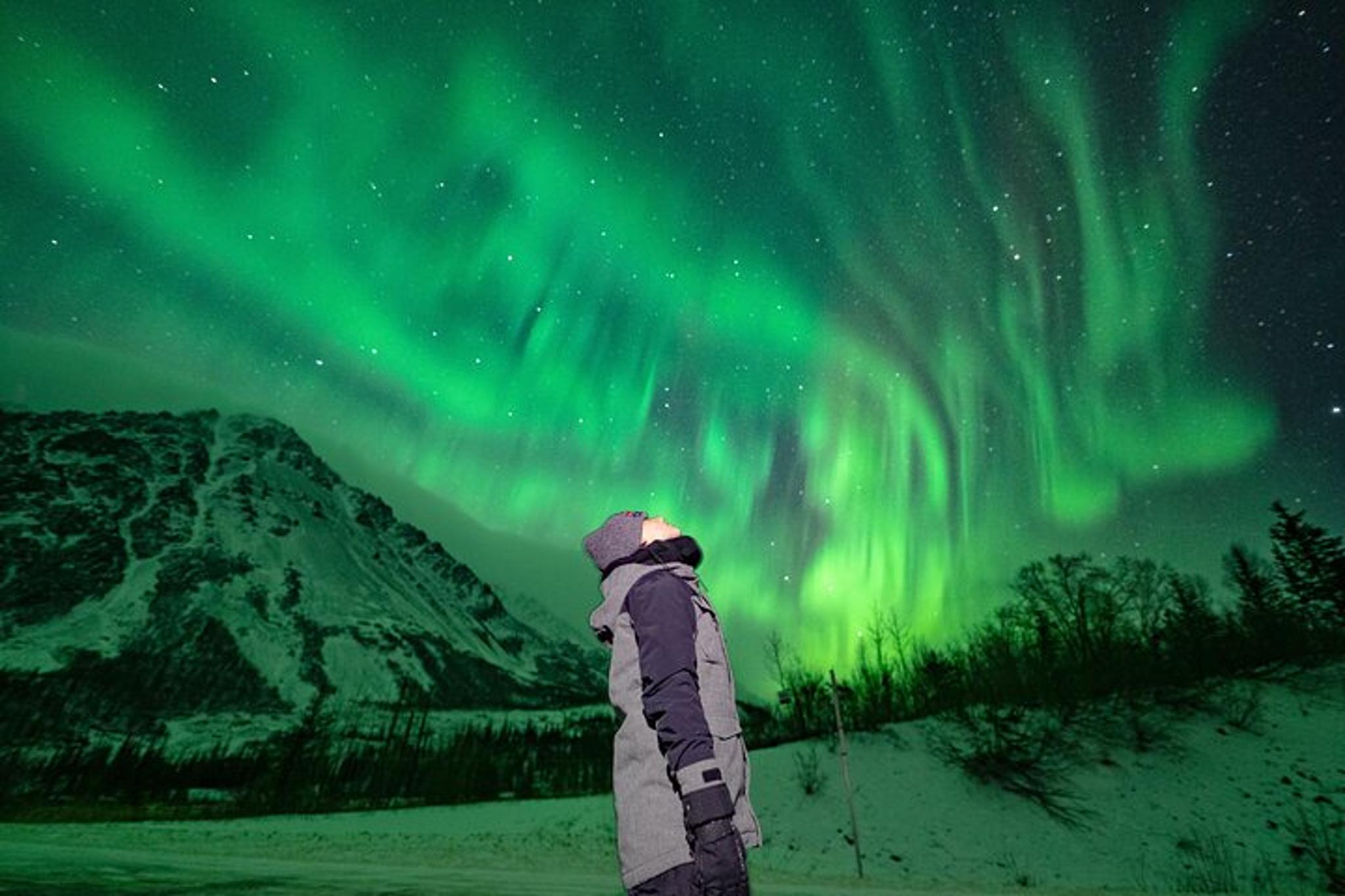 Alaska Northern Lights Private Tour - Image 6