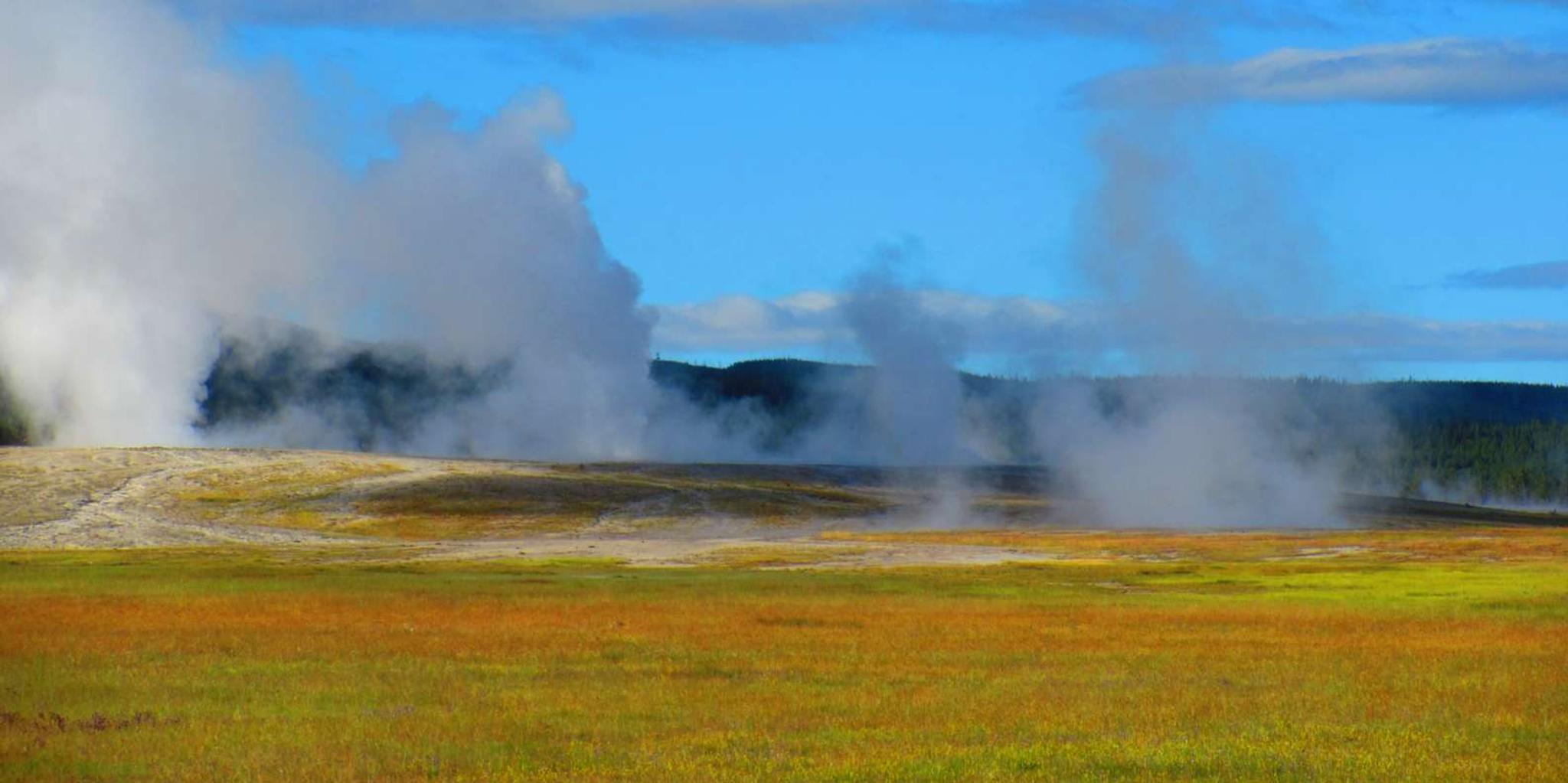 West Yellowstone Lower Loop Tour - Image 6
