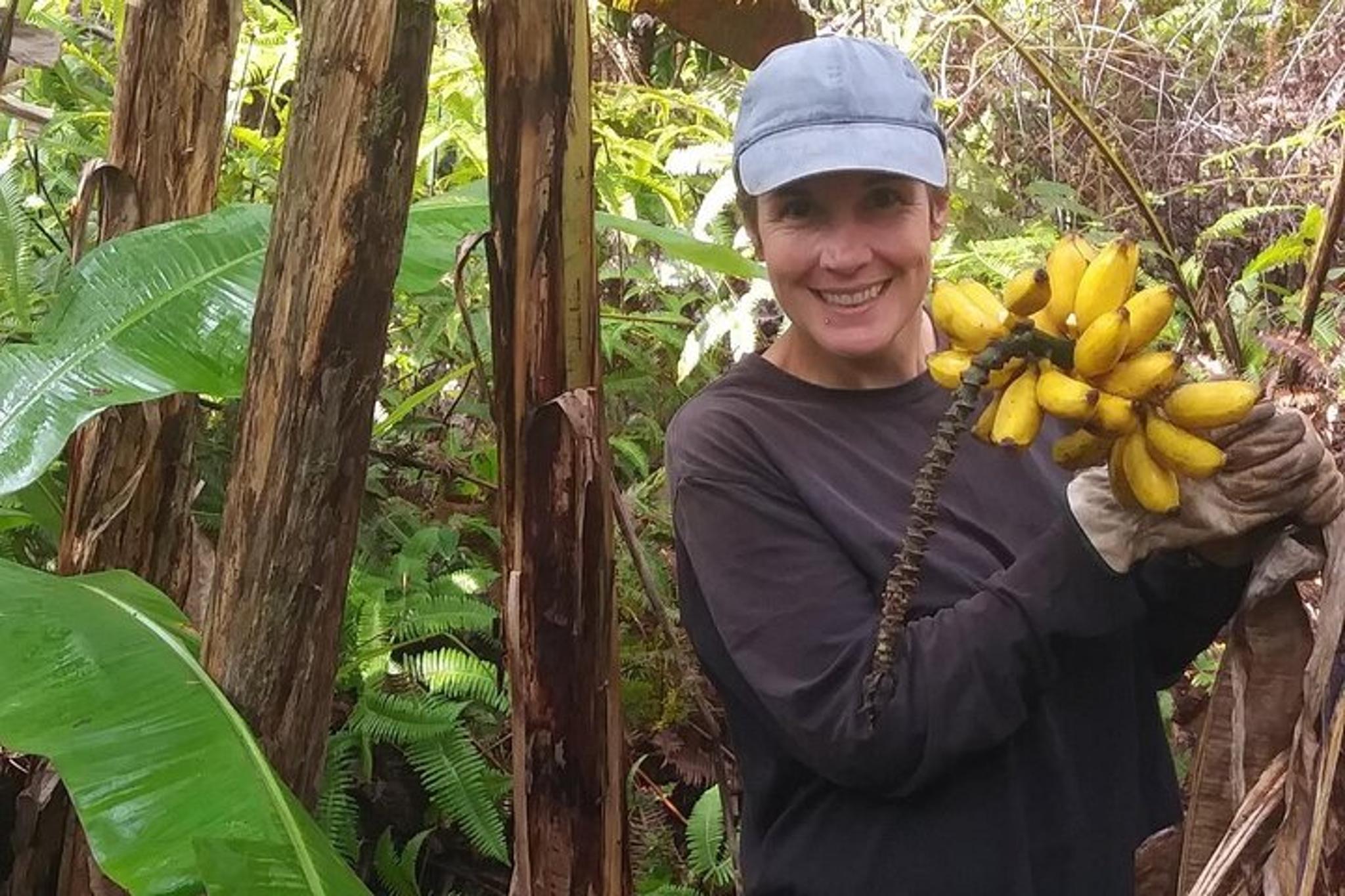 Fern Forest Banana Cultivation Experience - Image 1
